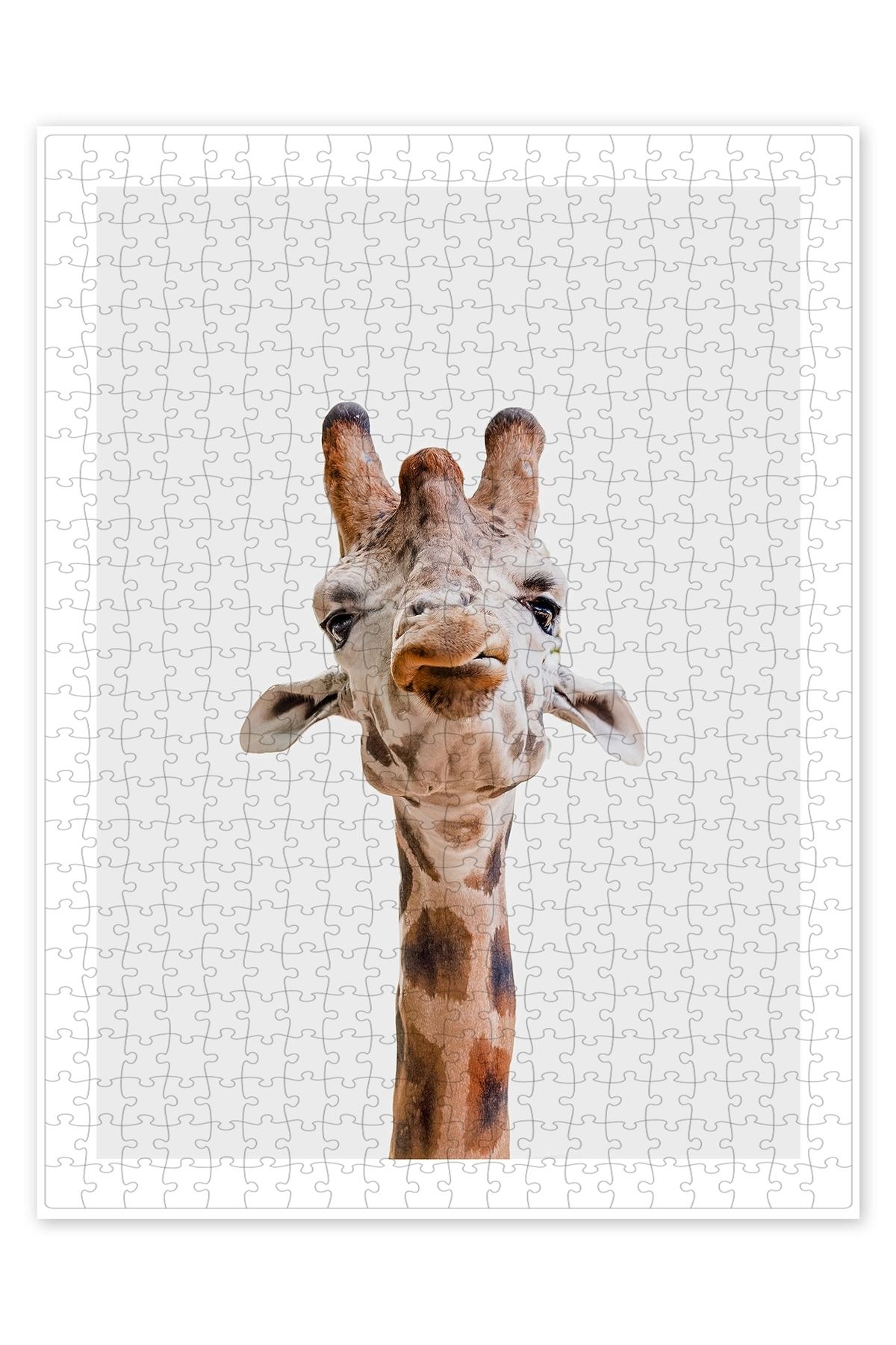 Jeronkarji Zürafa Öpücüğü 500 Parça Puzzle Yapboz Çocuklar için Neşeli Hayvan Temalı