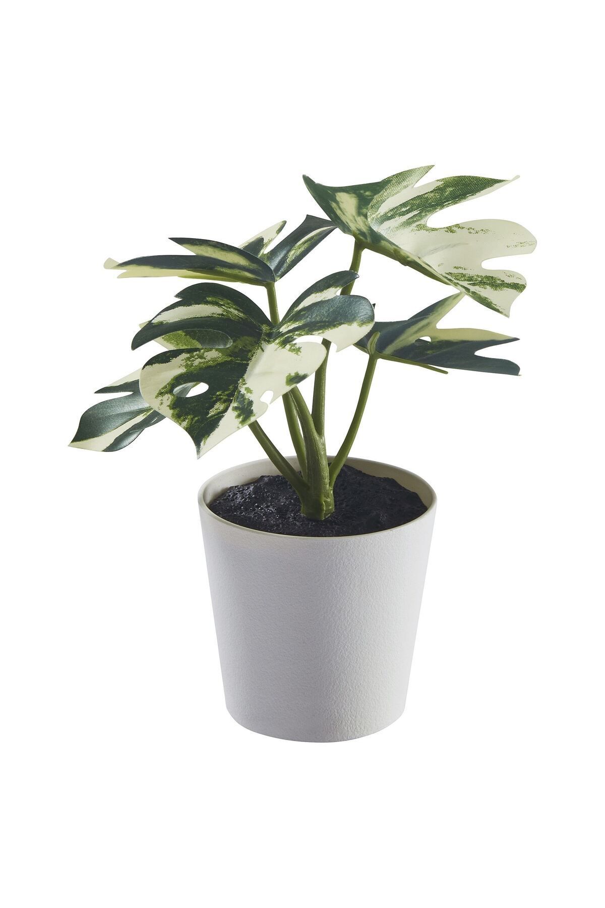 Elioure Yeşil yapay monstera bitki, 6 cm saksıda, doğal görünüm