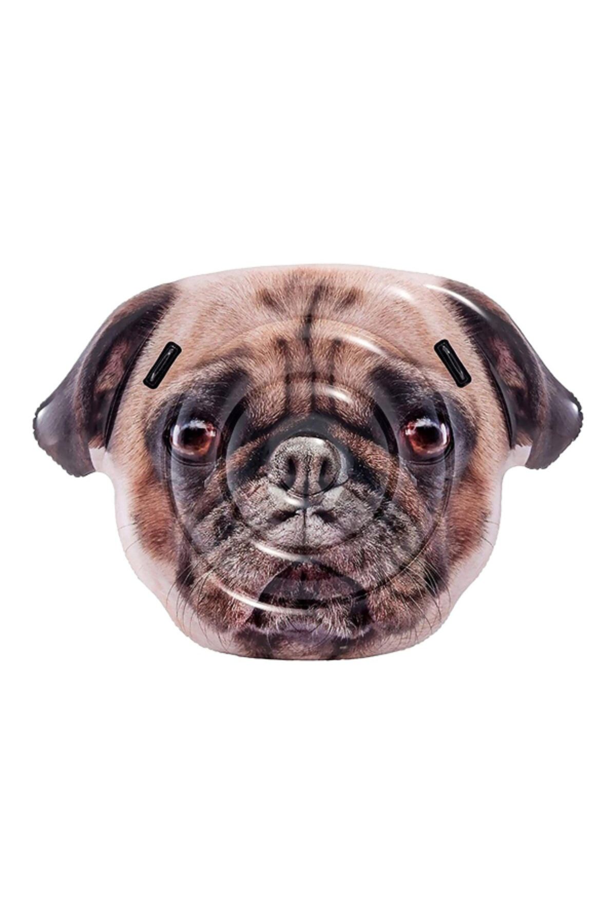 Intex-Realistic Pug Dog Face Inflatable Pool Float with Handles 173 x 130 cm 3