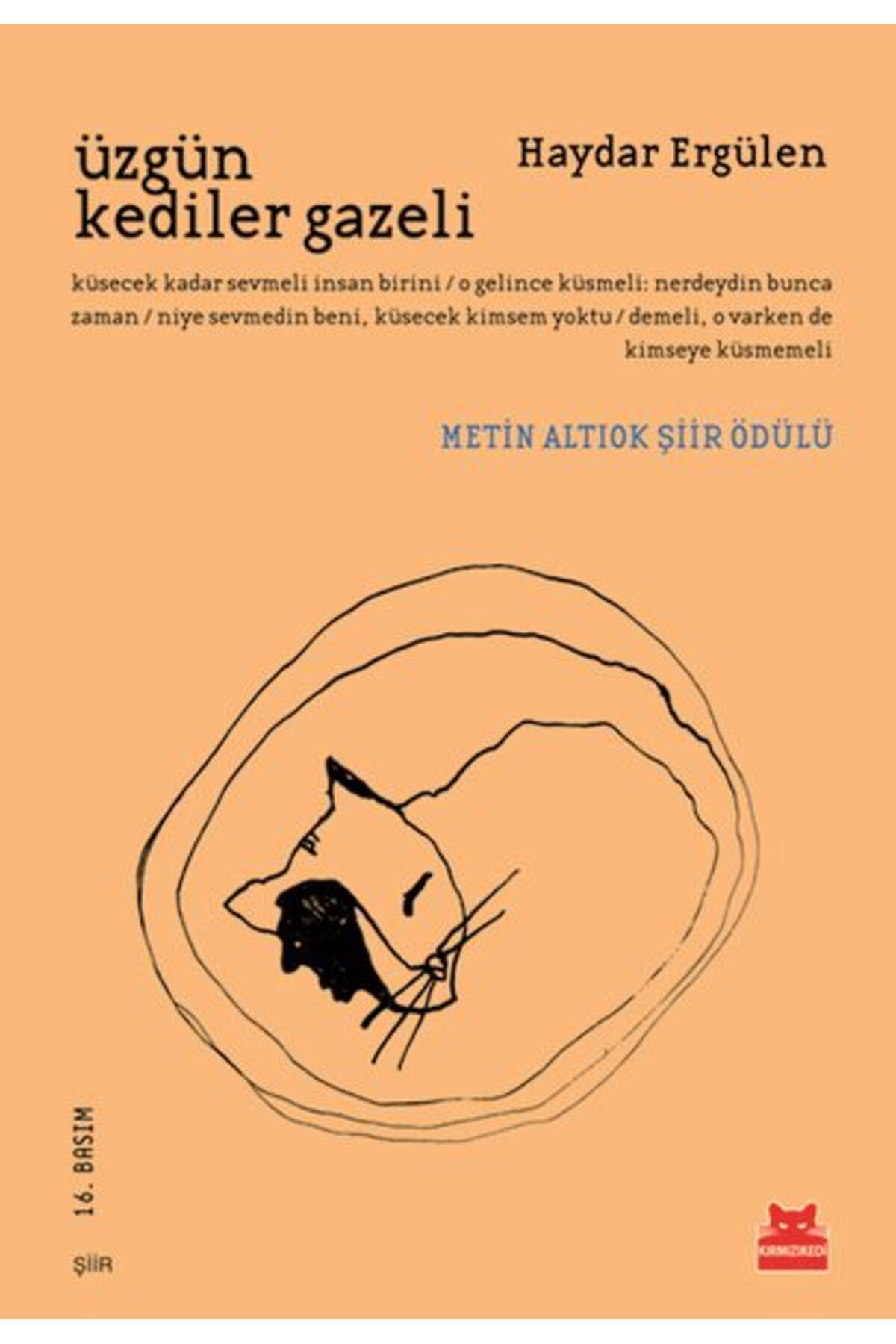 Destek Yayınları Üzgün Kediler Gazeli