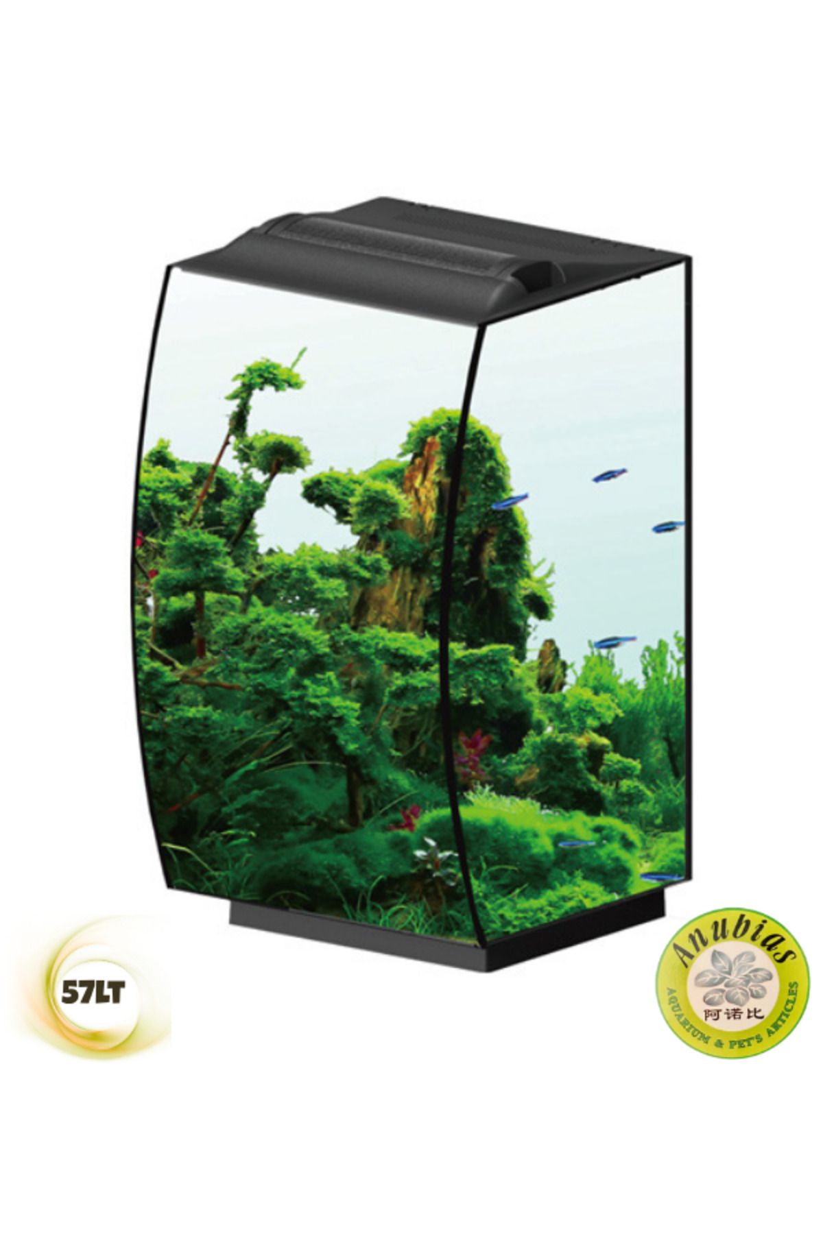 ANUBIAS AQUARIUM LIVE PLANTS Anubias Molly 36 Nano Akvaryum Siyah 36 x 32 x 50 Cm