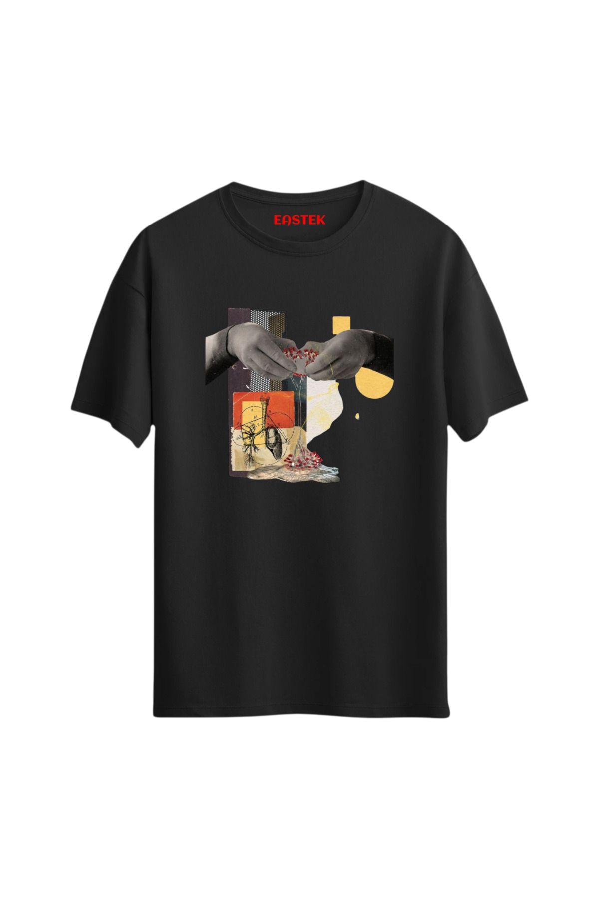 Eastek Anatomy of Creation Unisex Baskılı Tasarım Tshirt