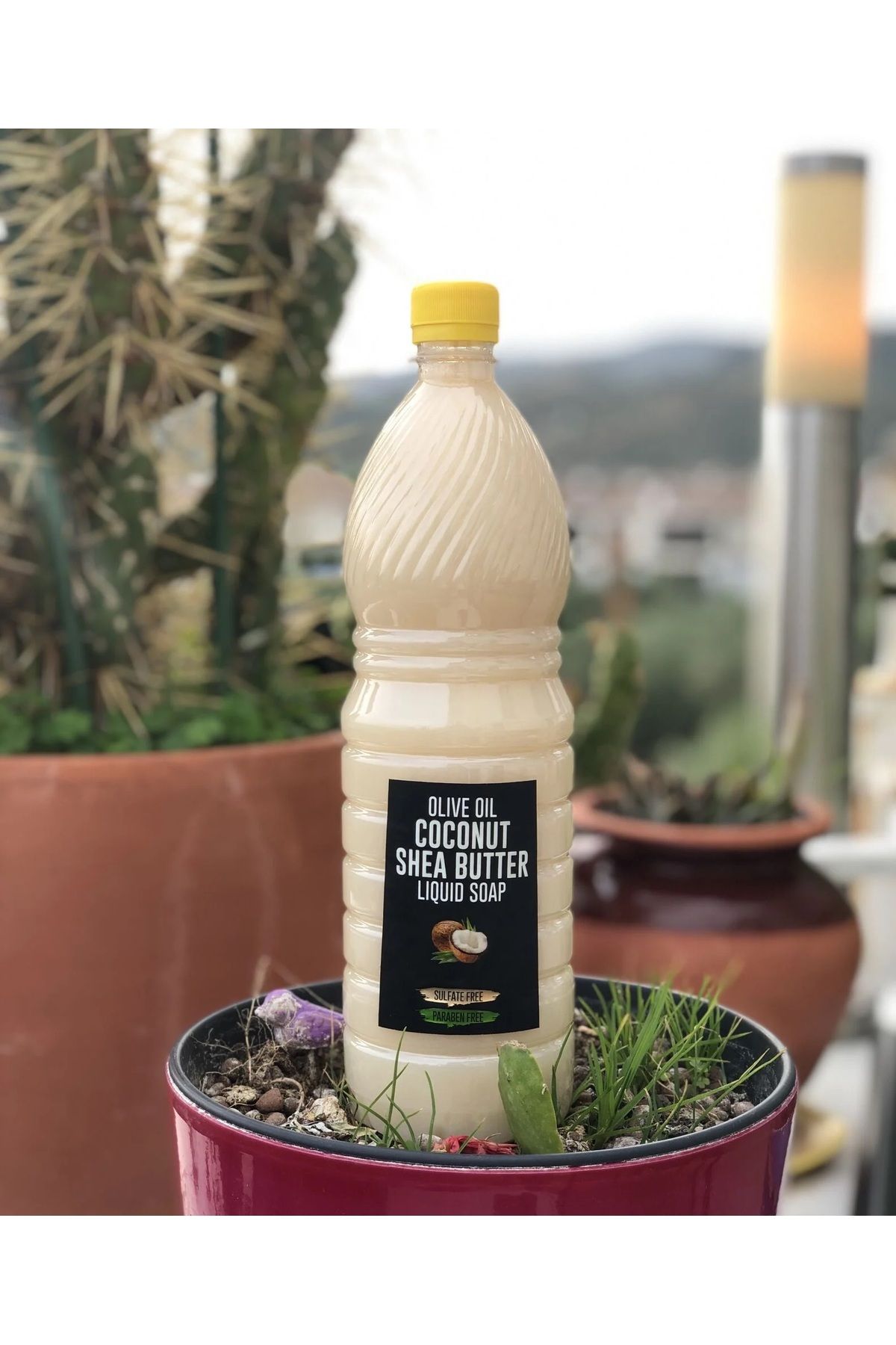 Zeytinli Keçi Çiftliği Doğal Zeytin Yağlı Keçi Sütlü Hindistan Cevizli Parabensiz Sıvı Sabun 1 Litre