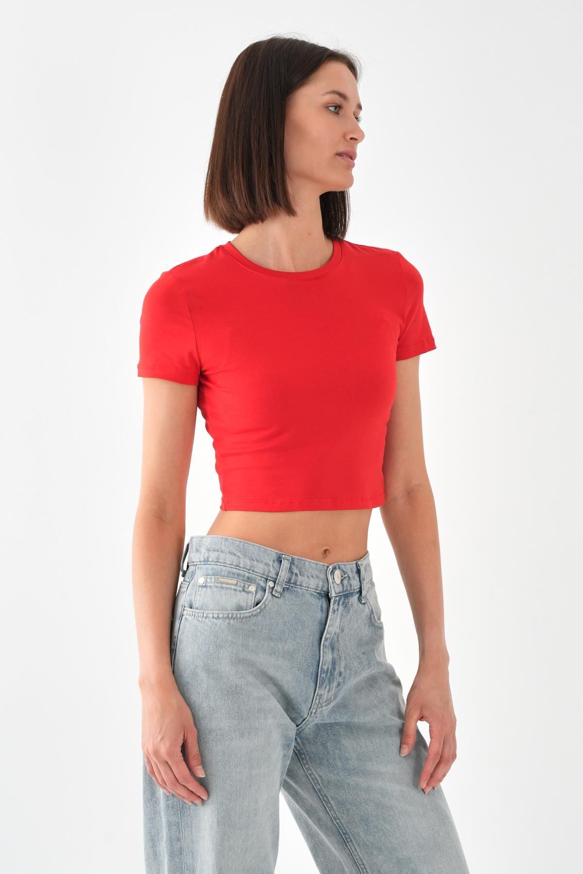 ALEXANDERGARDI Kısa Kollu Crop T-shirt