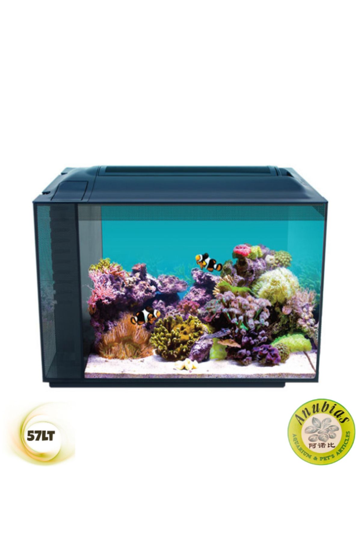 ANUBIAS AQUARIUM LIVE PLANTS Anubias Evo-V8 55 Nano Marine Akvaryum Siyah 55,5 x 29,5 x 35 Cm