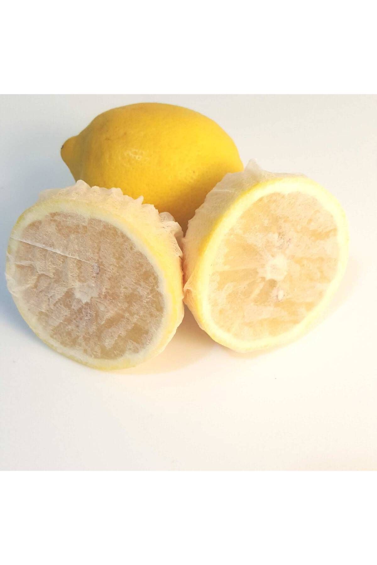 MR RZN STORE Limon Bonesi / 250 Adet / Bitki Çayı Bonesi