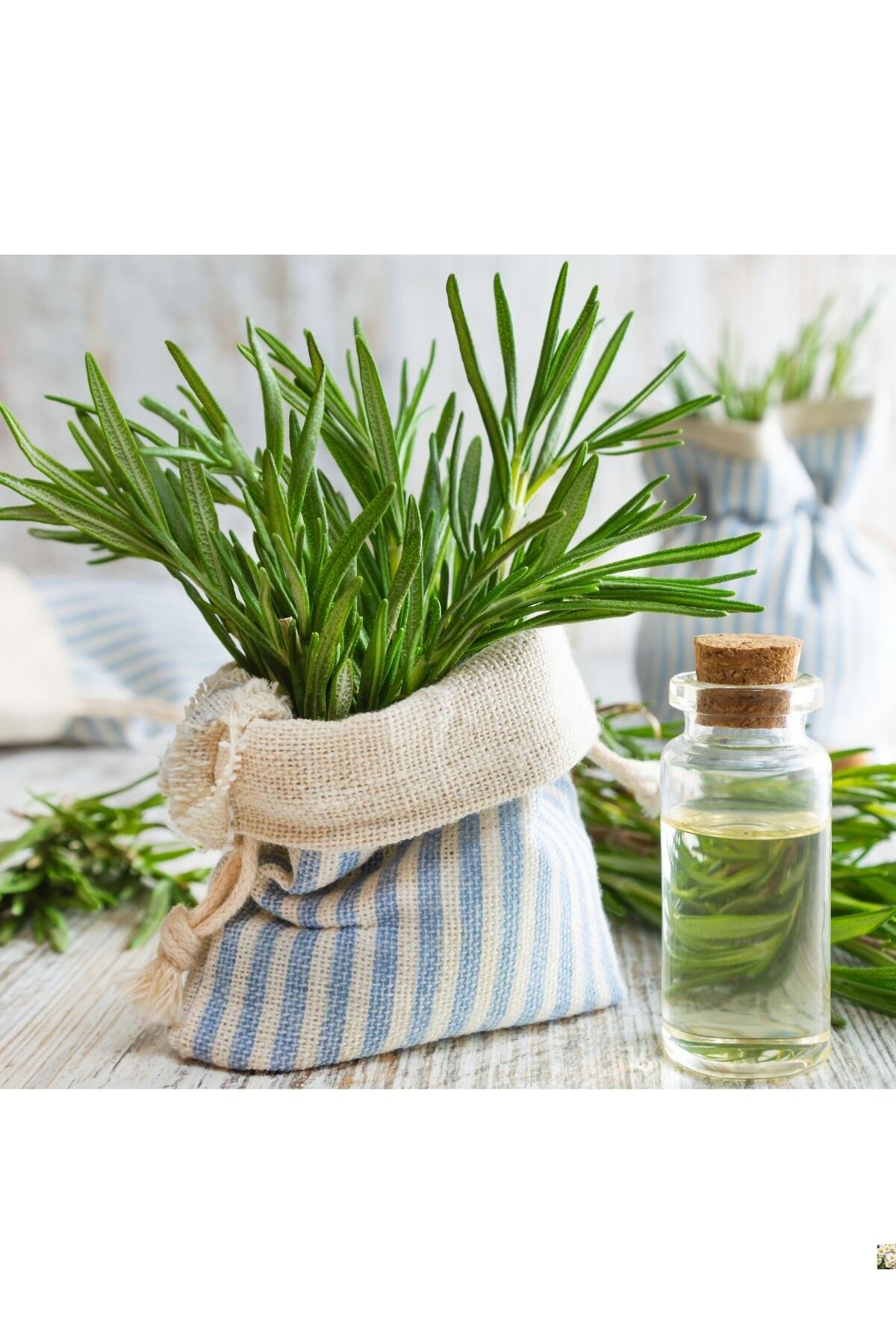 آب رزماری ۱۰۰٪ طبیعی و خالص، ضد ریزش مو و محرک رشد مو — DYBBRY100 — تصویر 2 از 4