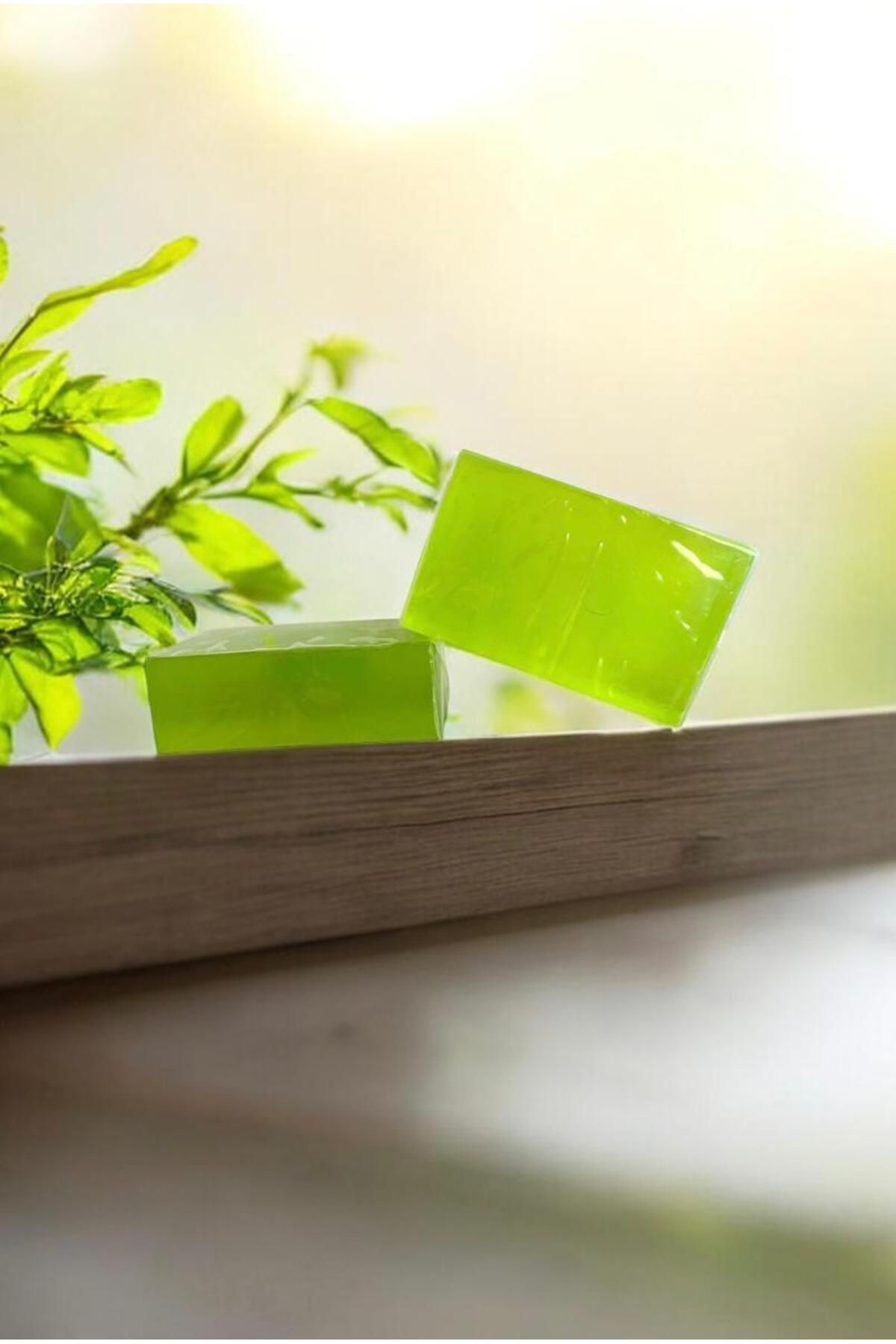 ALJEN ORGANİC Doğal Gliserinli Çay Ağacı Sabunu 100 gr (1 ADET)