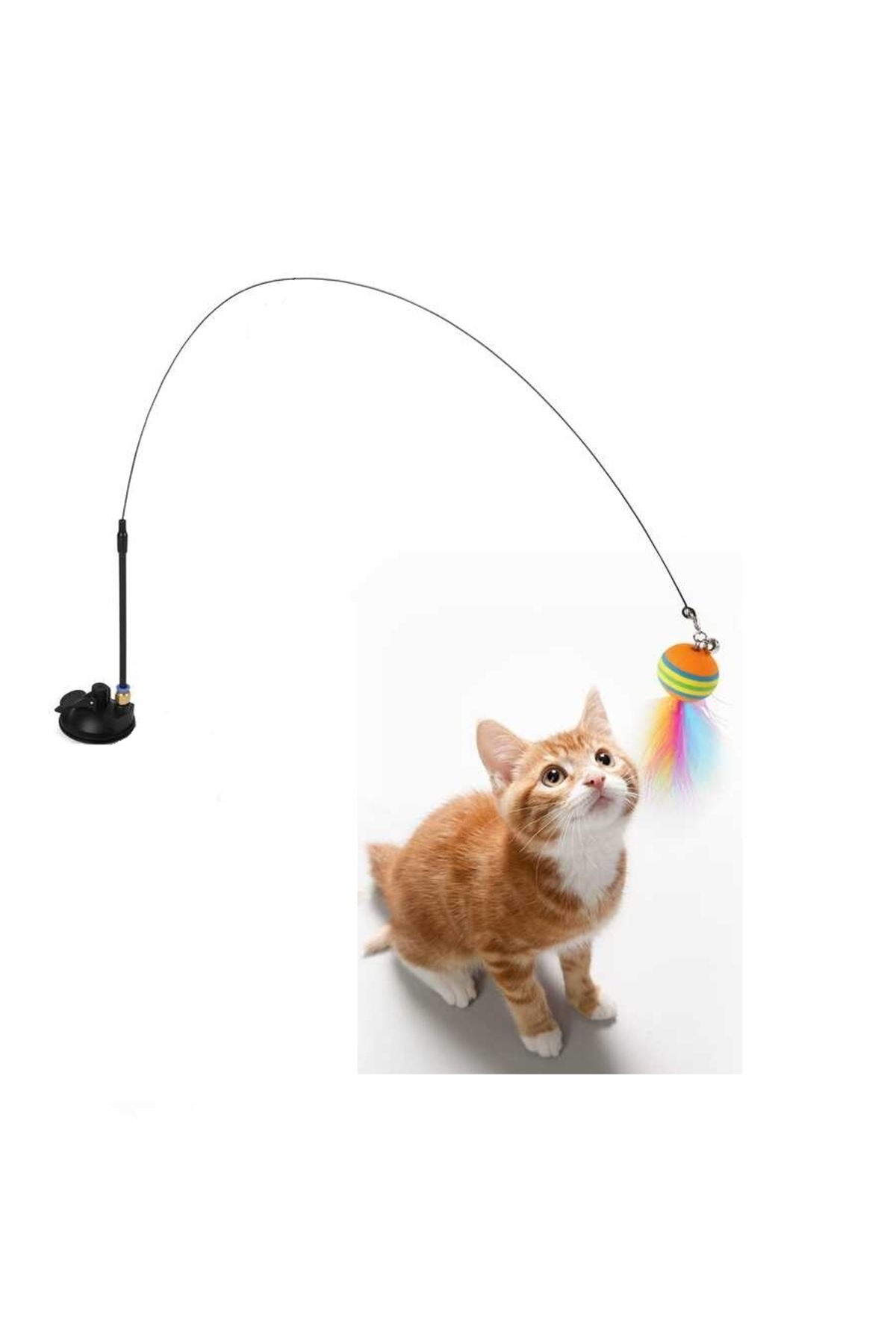 AquaHome Cama Yapışan Vantuzlu Kedi Oltası