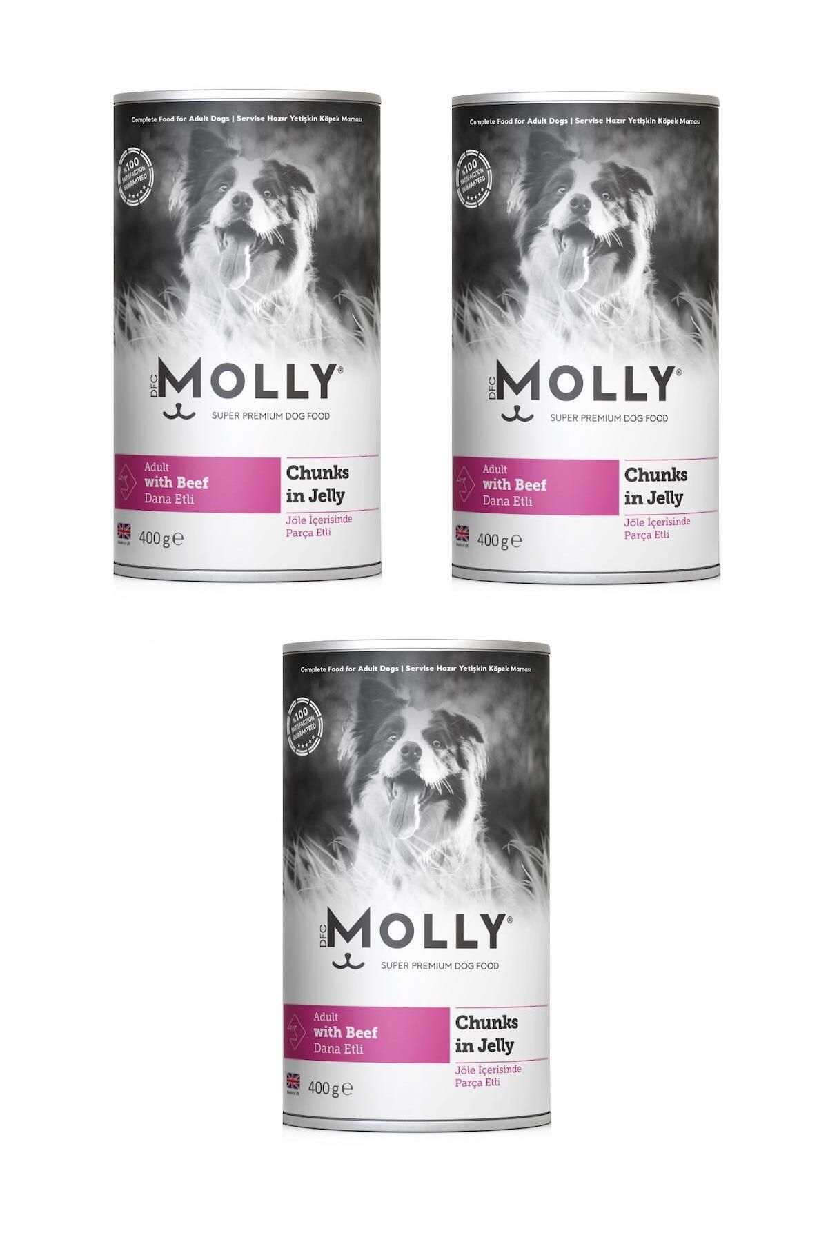Molly Dana Etli Jöleli Köpek Konservesi 400 Gr X 3 Adet