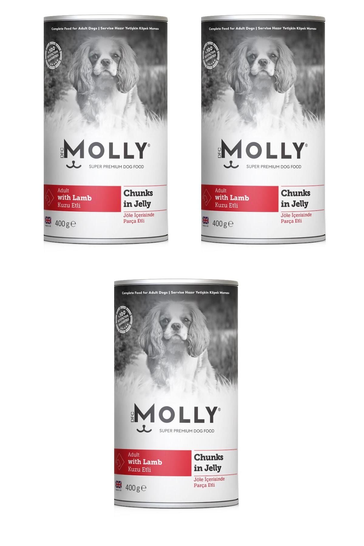 Molly Kuzu Etli Jöleli Köpek Konservesi 400 Gr X 3 Adet