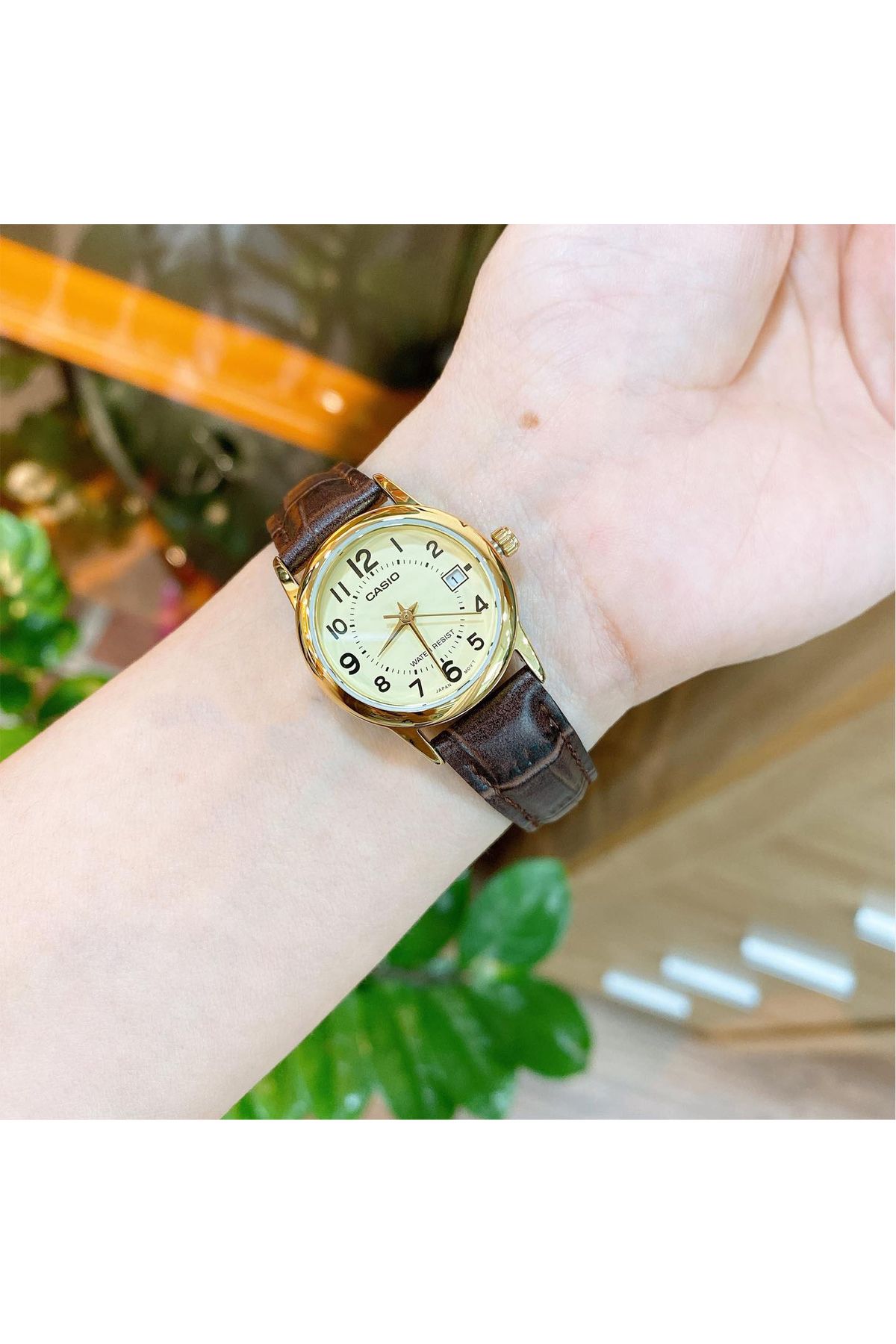 Casio-Ceas Dama, Casio, Collection LTP-V0 LTP-V002GL-9B 3