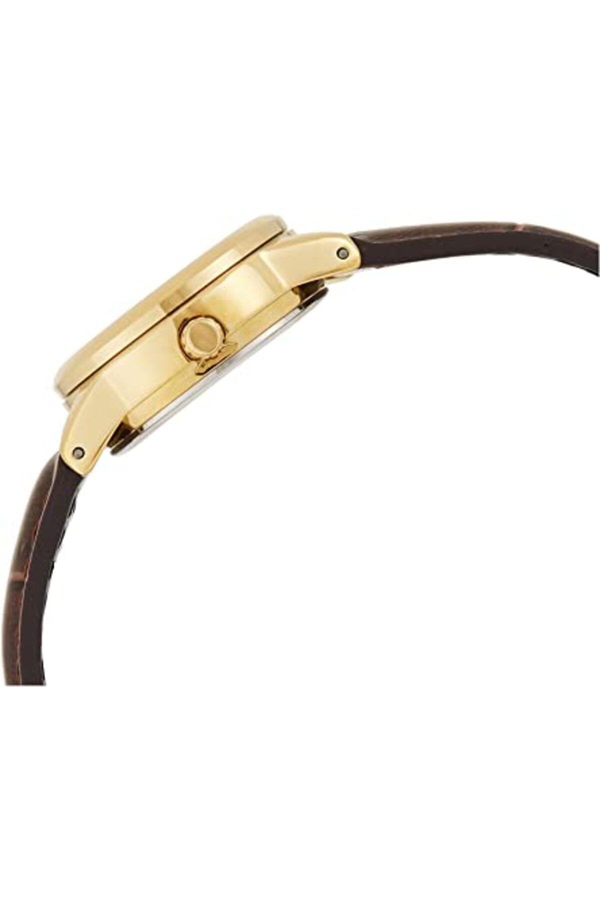 Casio-Ceas Dama, Casio, Collection LTP-V0 LTP-V002GL-1B 5