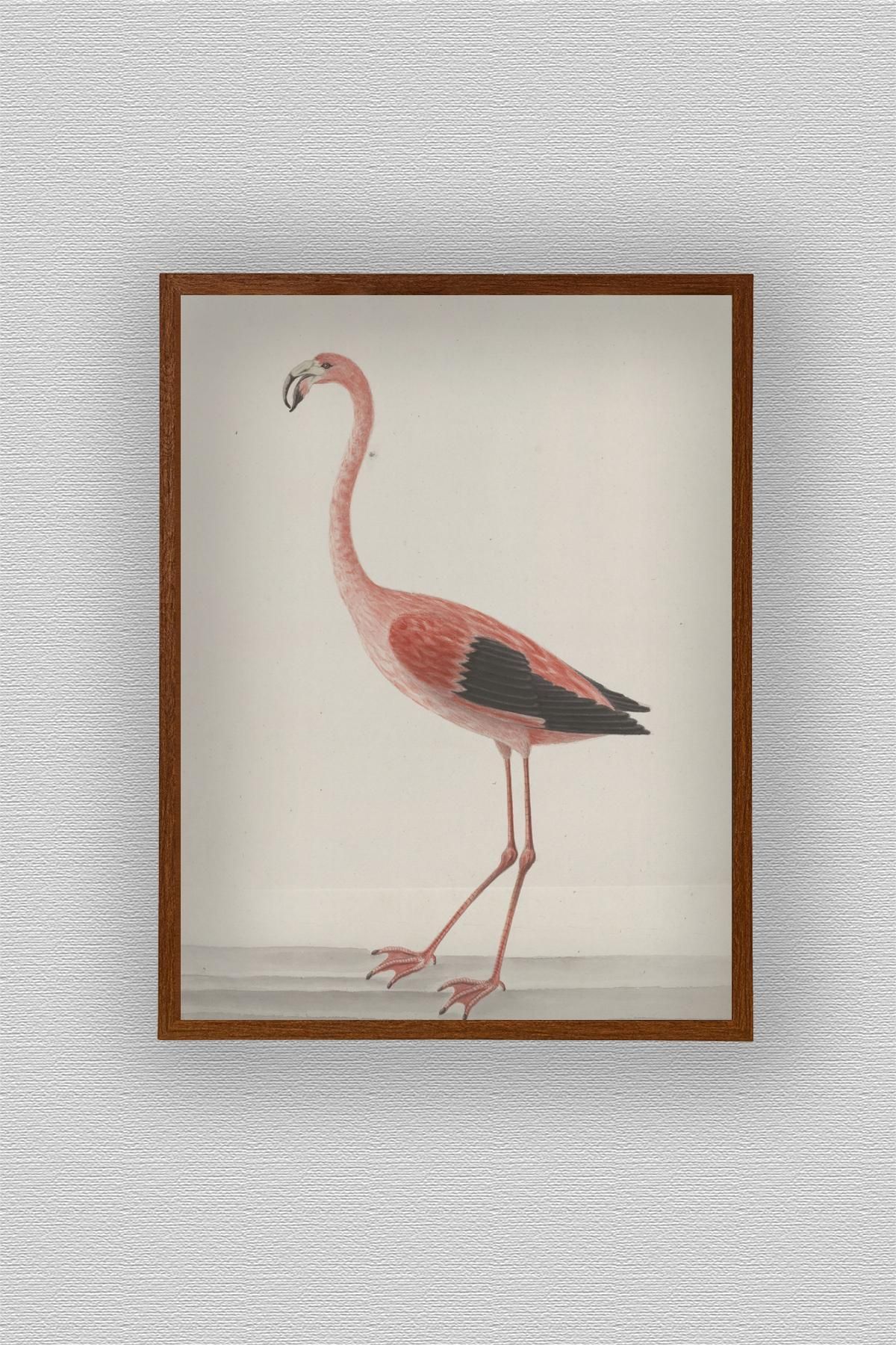 WoodyArts Çizim Flamingo - Koyu Ahşap Desenli Çerçeve
