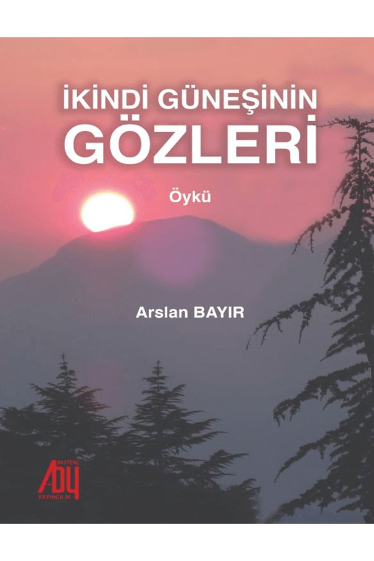 Baygenç Yayıncılık İkindi Güneşinin Gözleri / Arslan Bayır / Baygenç Yayıncılık / 9786256023772