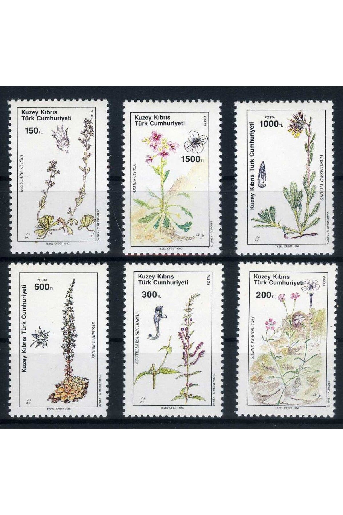 Jupiter Stamps Koleksiyon Pulları,Kuzey Kıbrıs,Endemik Bitkiler,6 Pul,Konsept Hediyelik,Hobi Dünyası, ASB-336270987