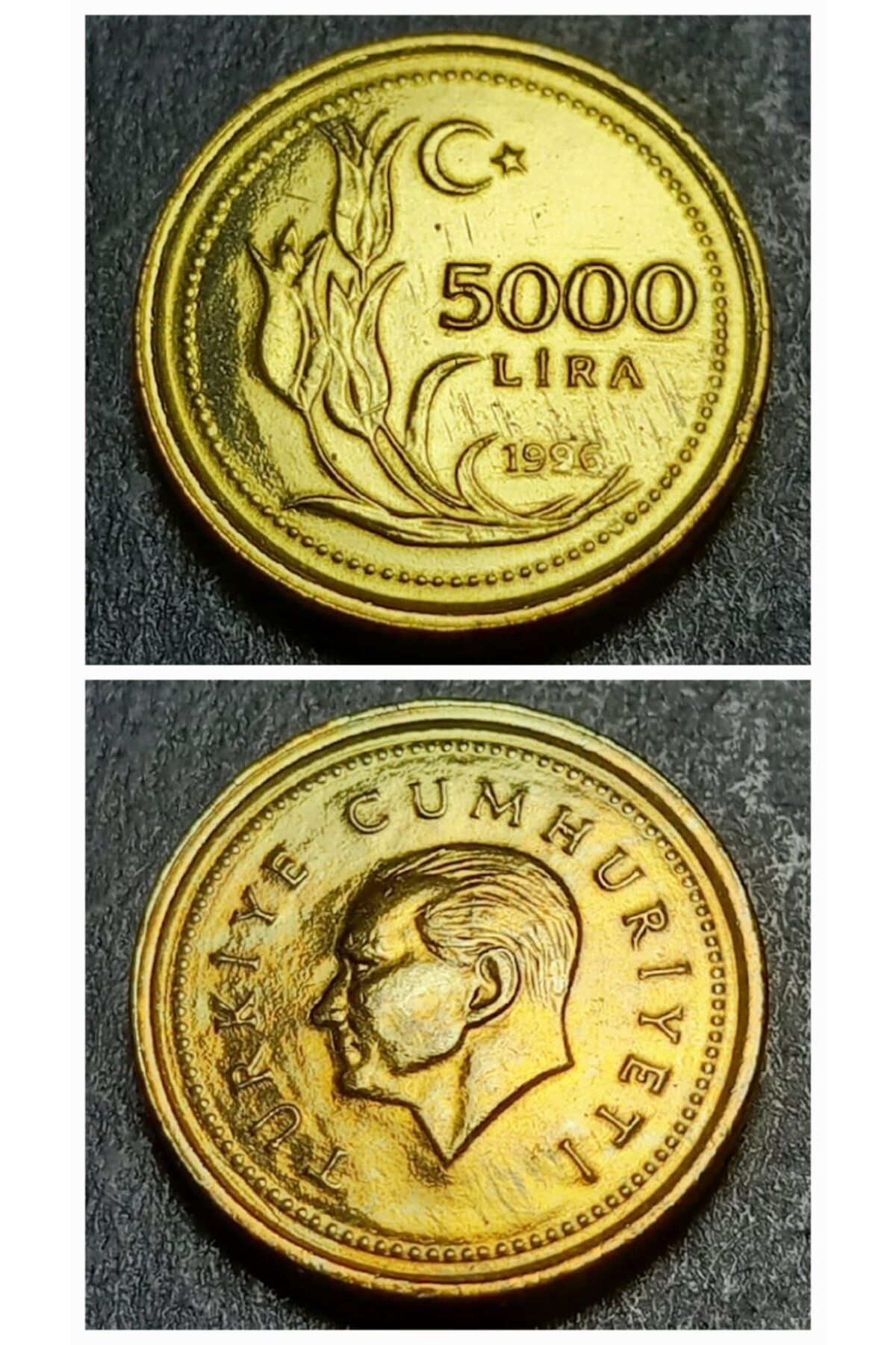 escoines koleksiyon 39963683a529bda8a3 1996 Darphane Tedavül Setinden ÇİL 5000Lira Eski Madeni Para