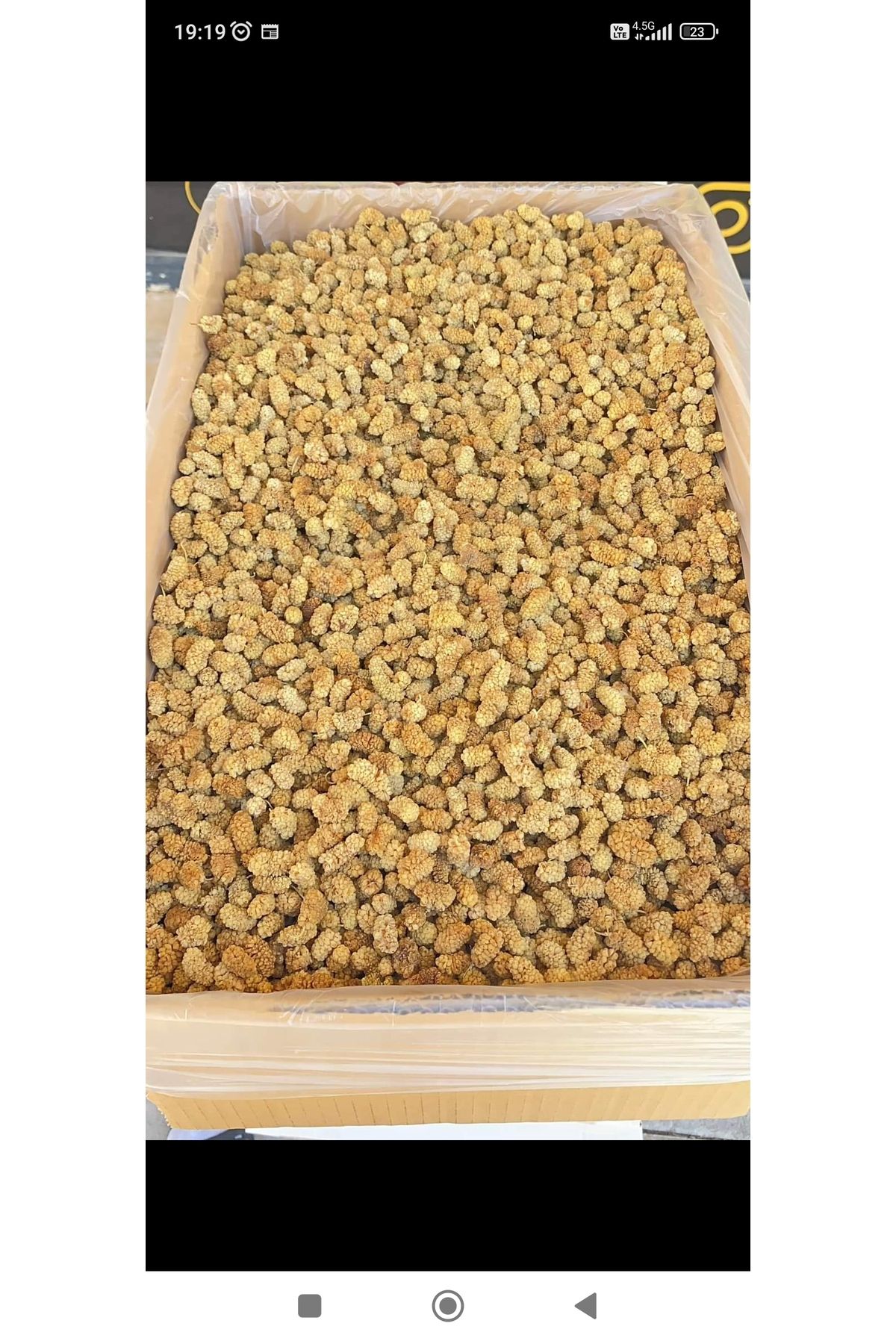 gazisofraantep Dut Kurusu 500 Gr