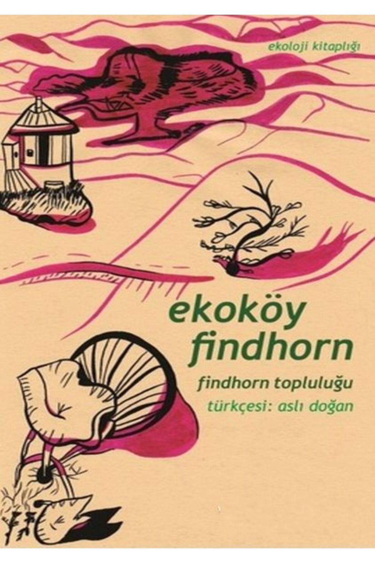 Yeni İnsan Yayınevi Ekoköy Findhorn Findhorn Topluluğu