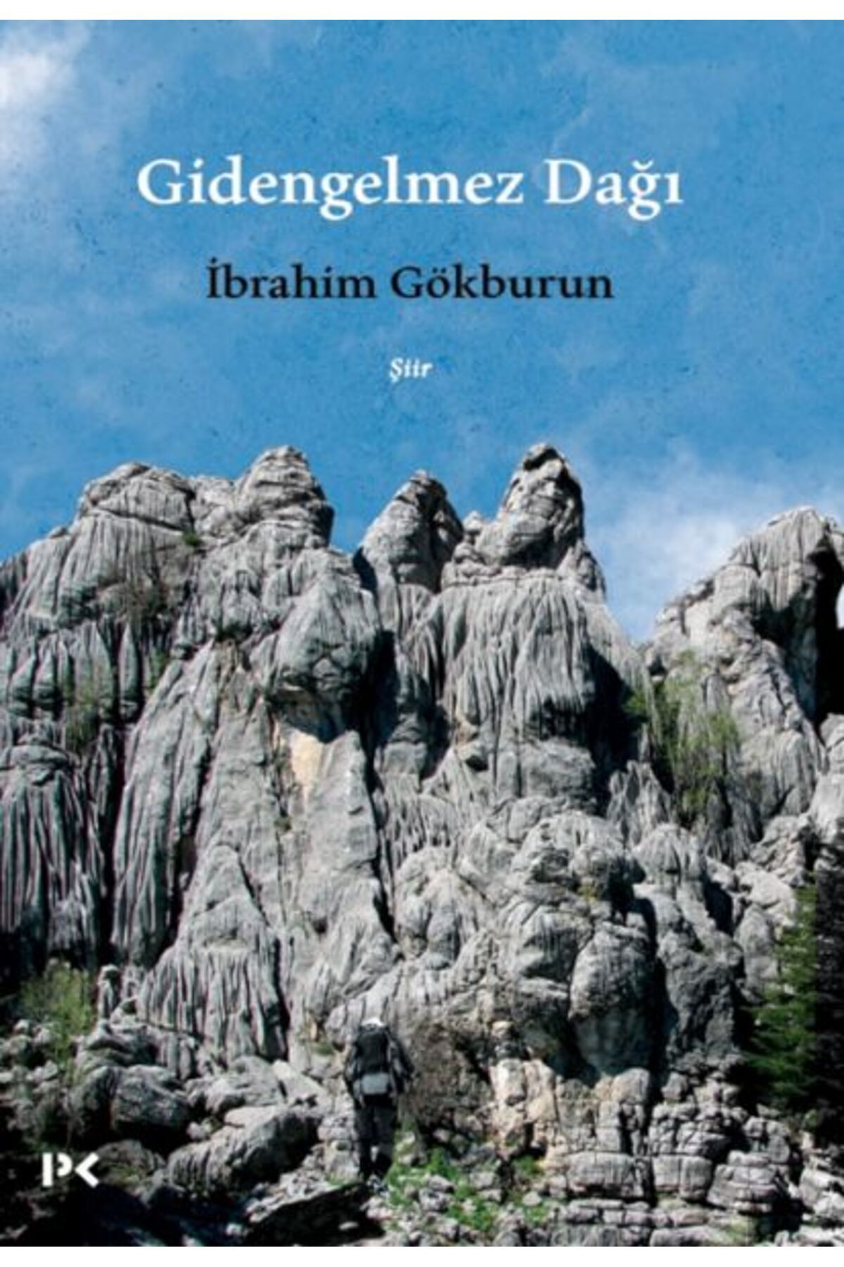 Profil Kitap Gidengelmez Dağı