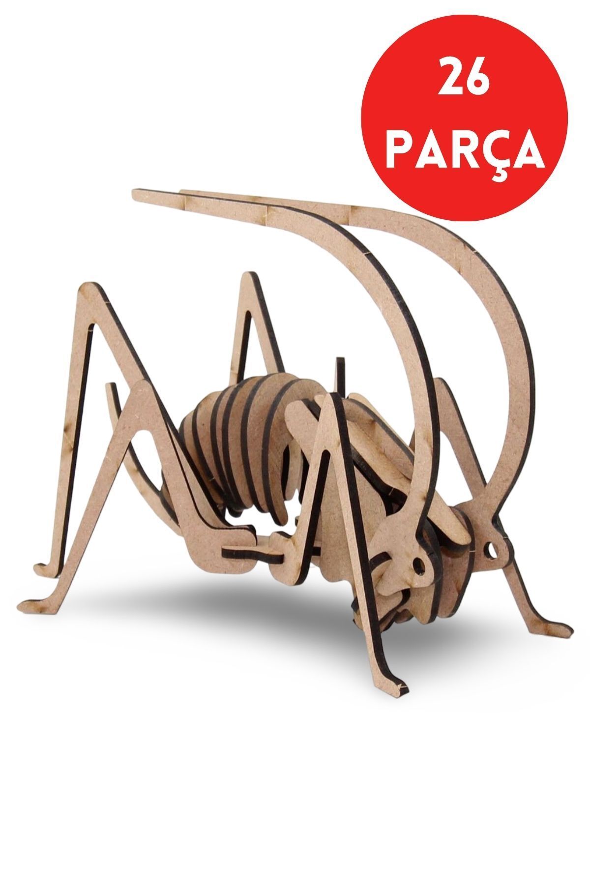ALGWOOD 26 Parça Ahşap Çekirge Maketi - Ahşap Böcek Figürü - Eğitici Ahşap 3D Çekirge Figürü