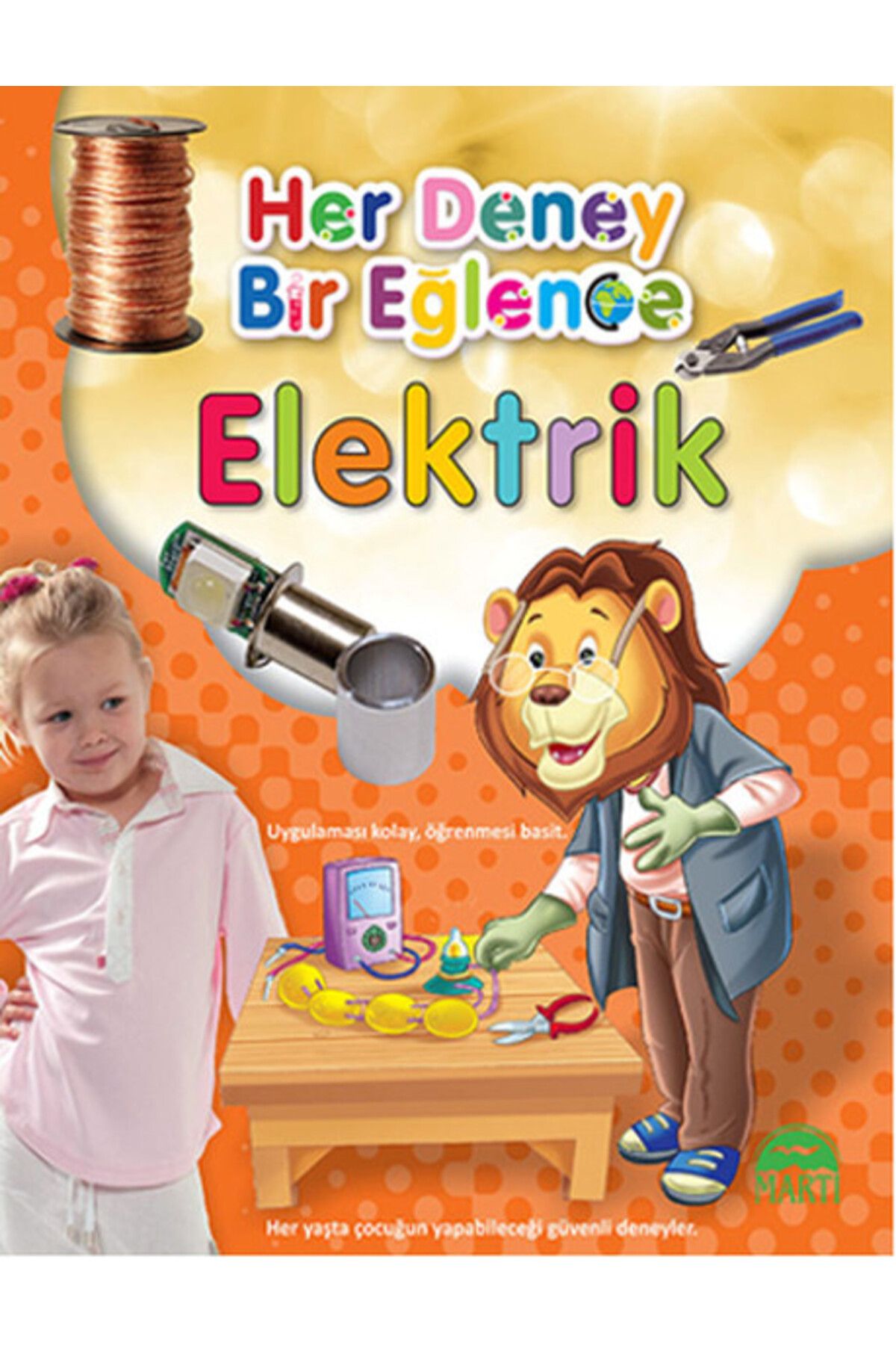 Martı Yayınları Her Deney Bir Eğlence - Elektrik
