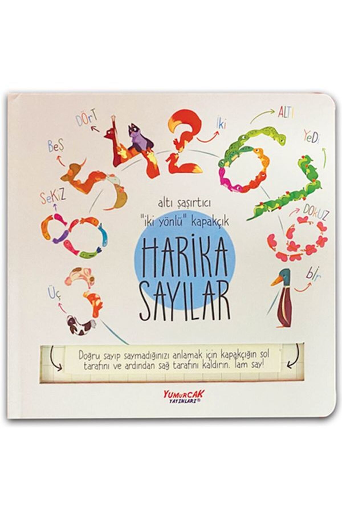 Yumurcak Yayınları Harika Sayılar (Kapakçıklı)