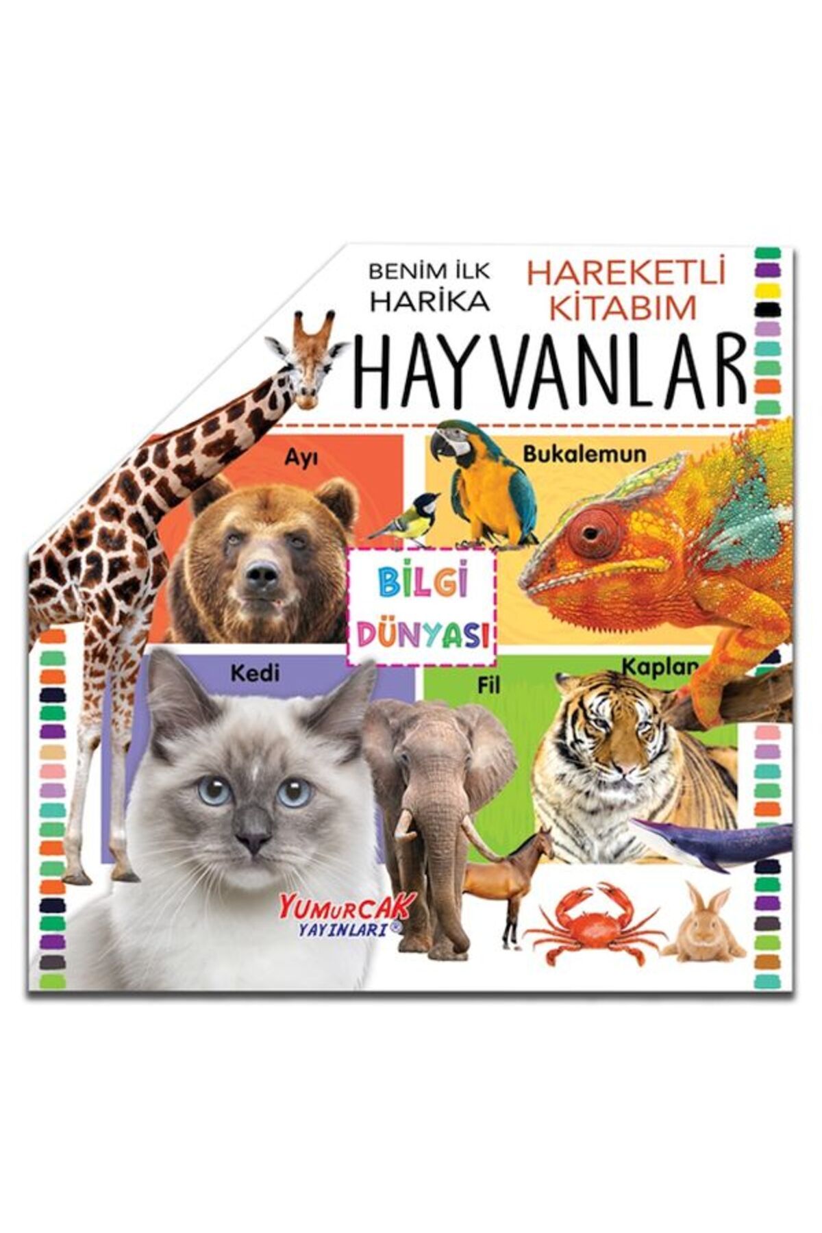 Yumurcak Yayınları Benim İlk Hareketli Kitabım Hayvanlar