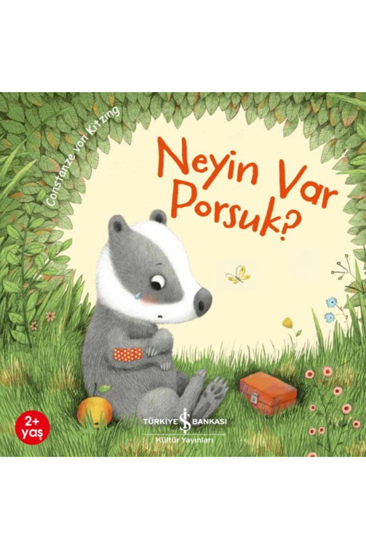 Hak Yayınları Neyin Var Porsuk?