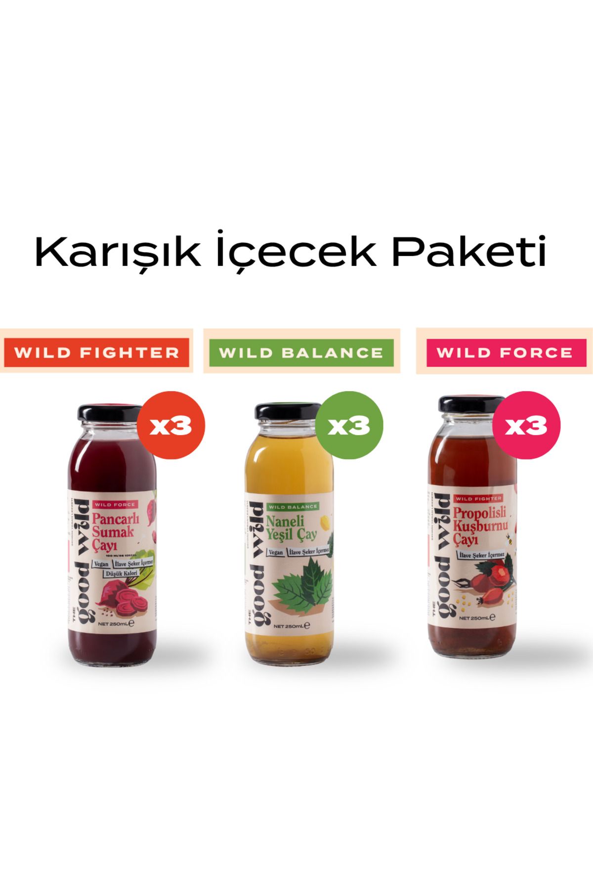 THE GOOD WİLD Karışık İçecek Paketi (9x250 ml)