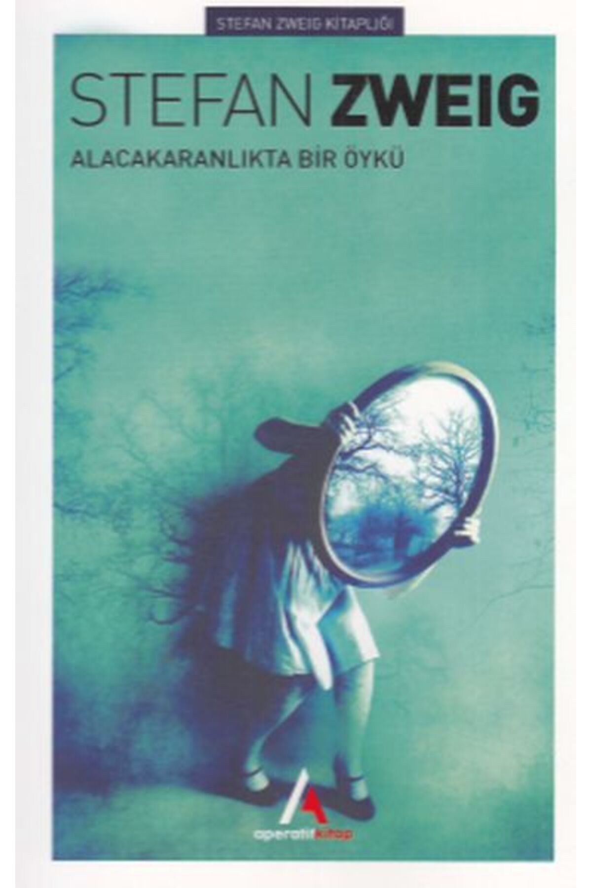 Aperatif Kitap Yayınları Alacakaranlıkta Bir Öykü