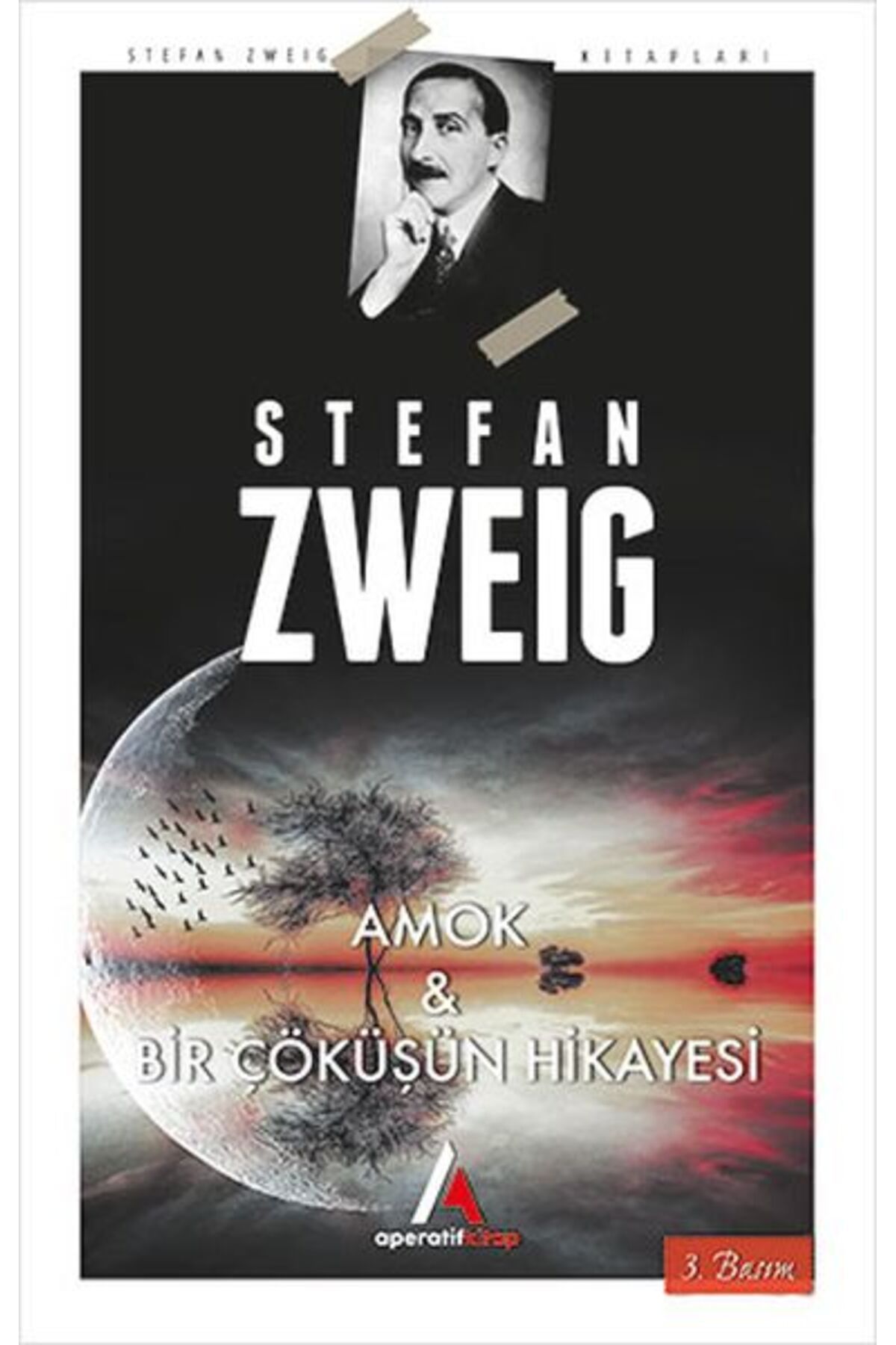 Aperatif Kitap Yayınları Amok ve Bir Çöküşün Hikayesi