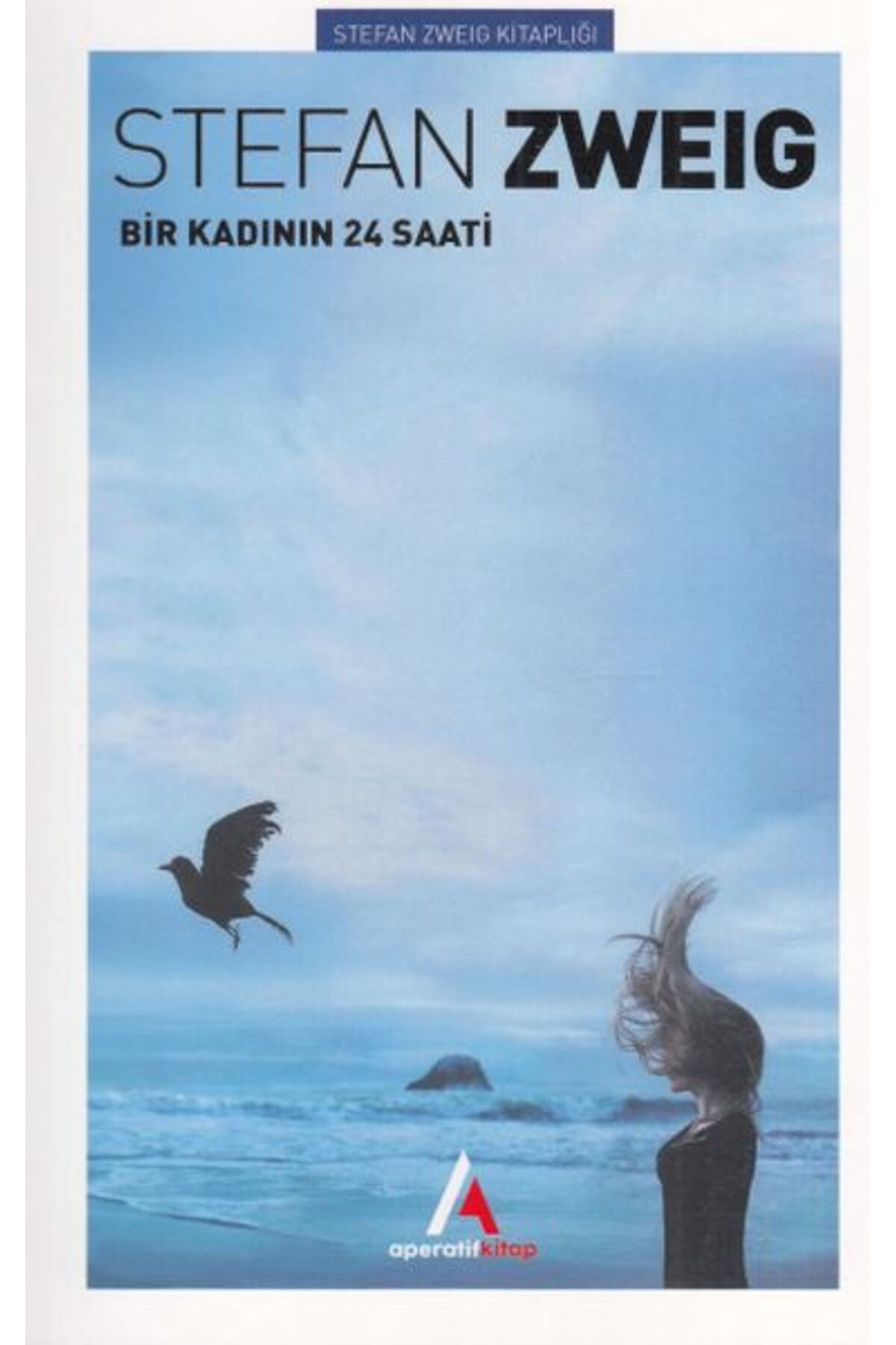 Aperatif Kitap Yayınları Bir Kadının 24 Saati
