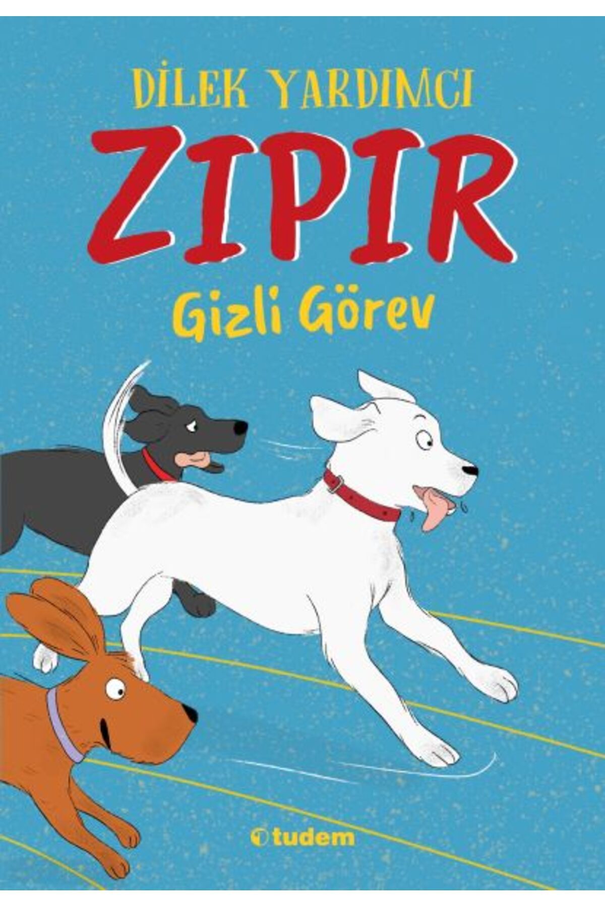 Tudem Yayınları Zıpır Gizli Görev