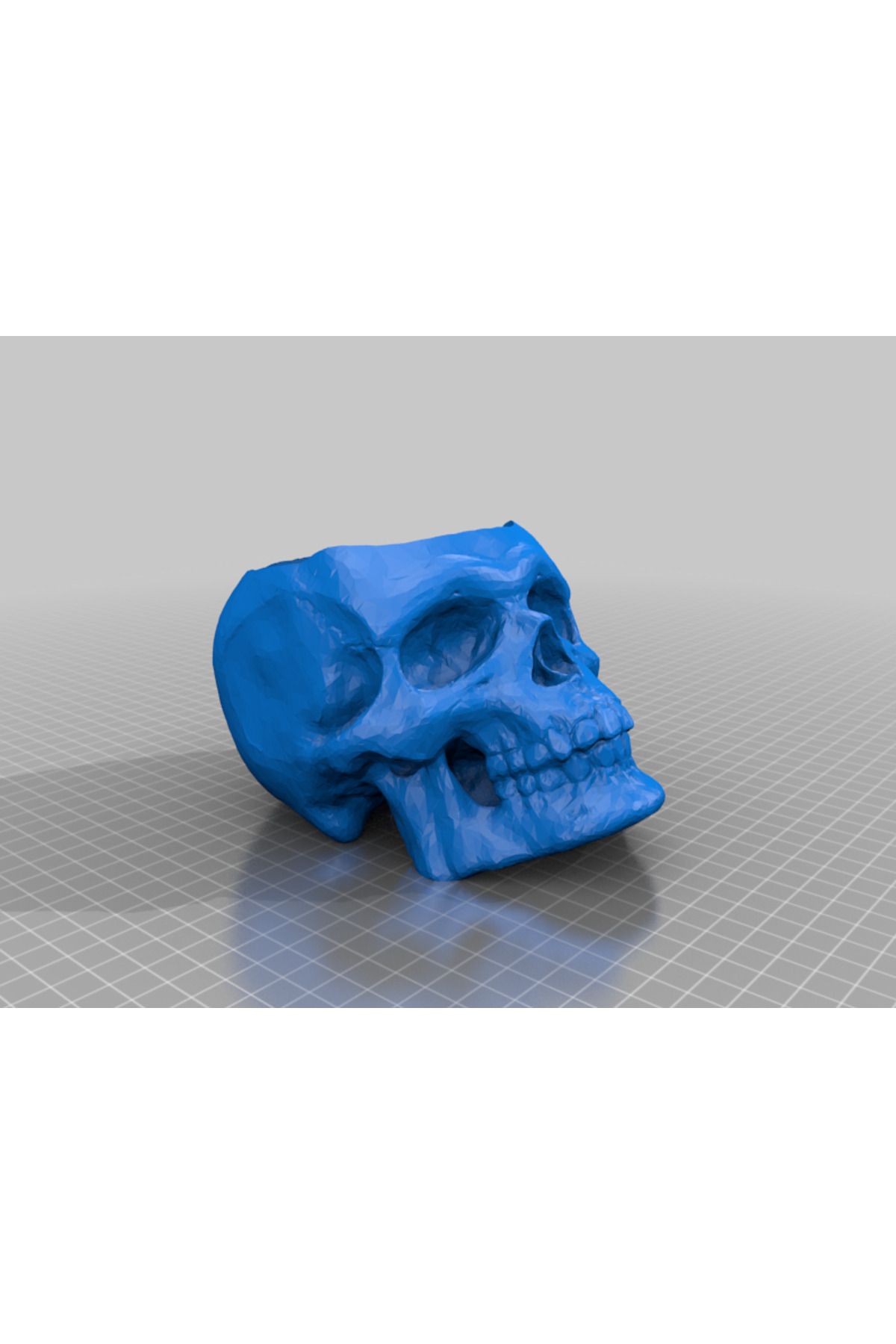 talaşoğlu Desteksiz-Skull-Candy-Bowl