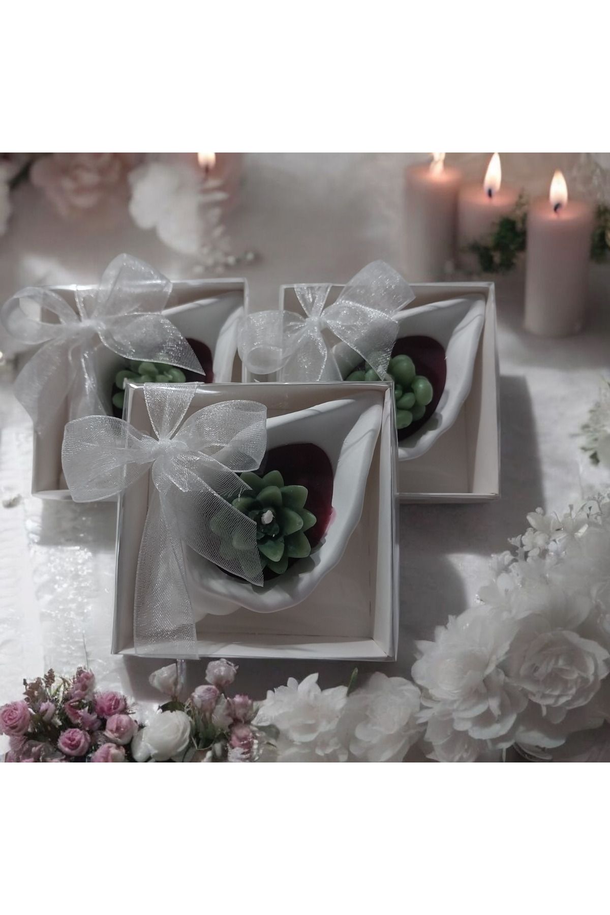 ddecco Nişan nikah hediyelik 25 adet sukulent istiridye Mum söz kına doğumgünü hediyelik