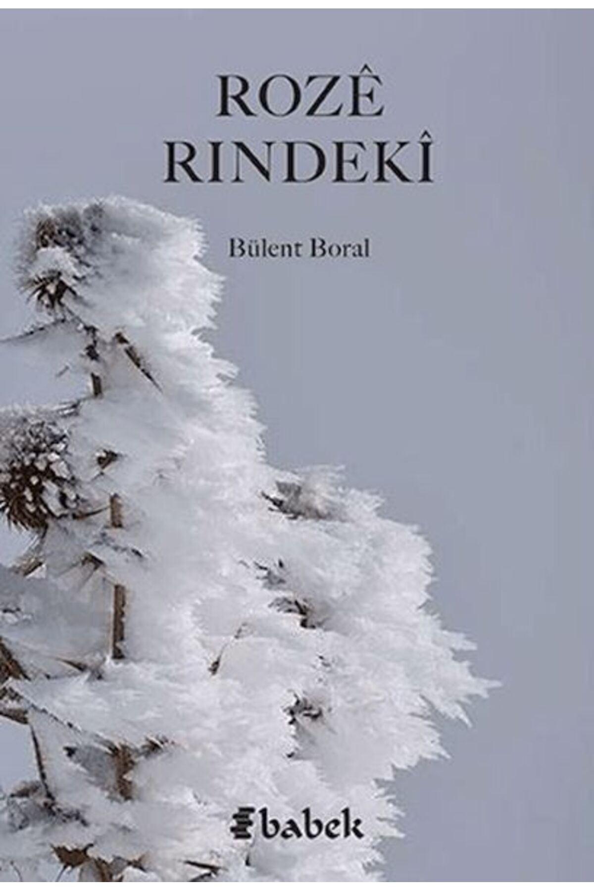 Babek Yayınları Roze Rındeki
