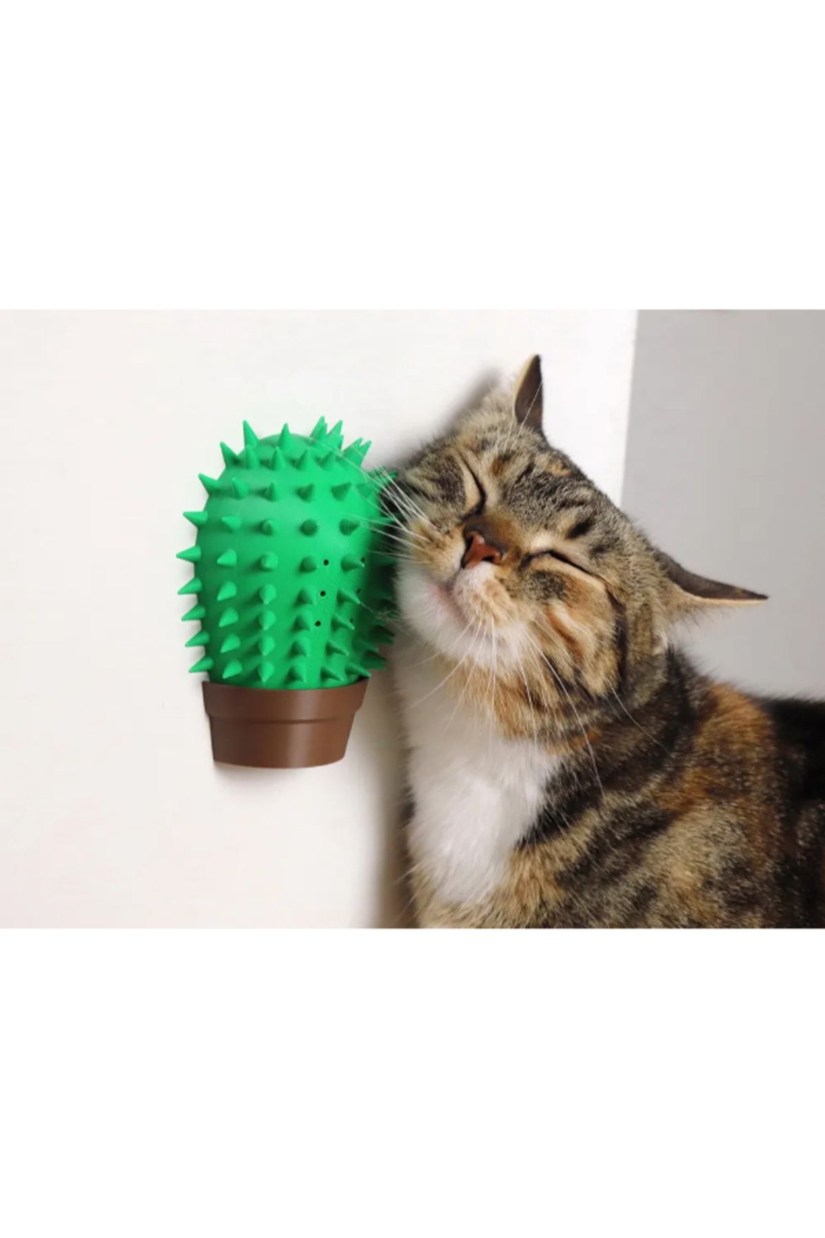 NOMOTHETIC Kaktüs Şeklinde Kedi Kaşıma Oyuncağı – Self Scratcher