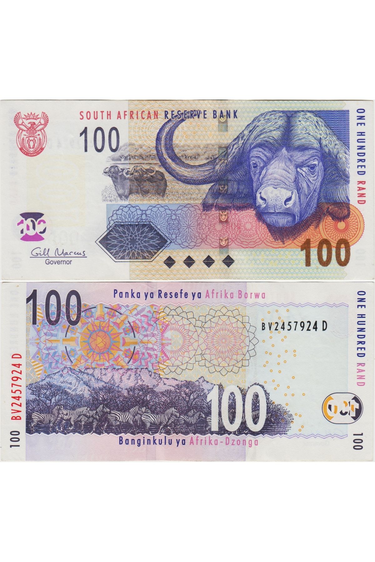 Banknoting GÜNEY AFRİKA CUMHURİYETİ 100 RAND 2009 BUFALO ve ZEBRA TEMALI. ÇİLALTI KONDİSYON.