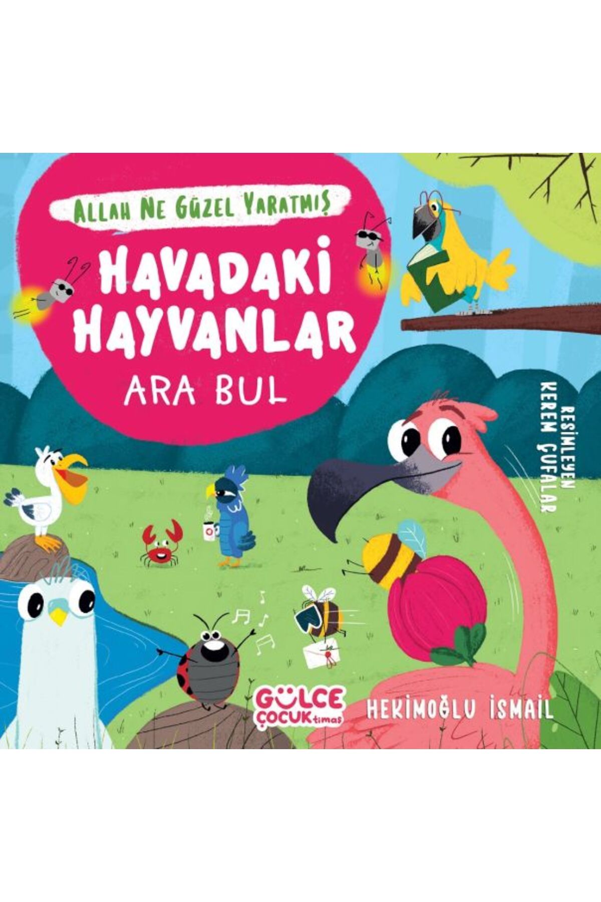 Destek Yayınları Havadaki Hayvanlar - Ara Bul - Allah Ne Güzel Yaratmış
