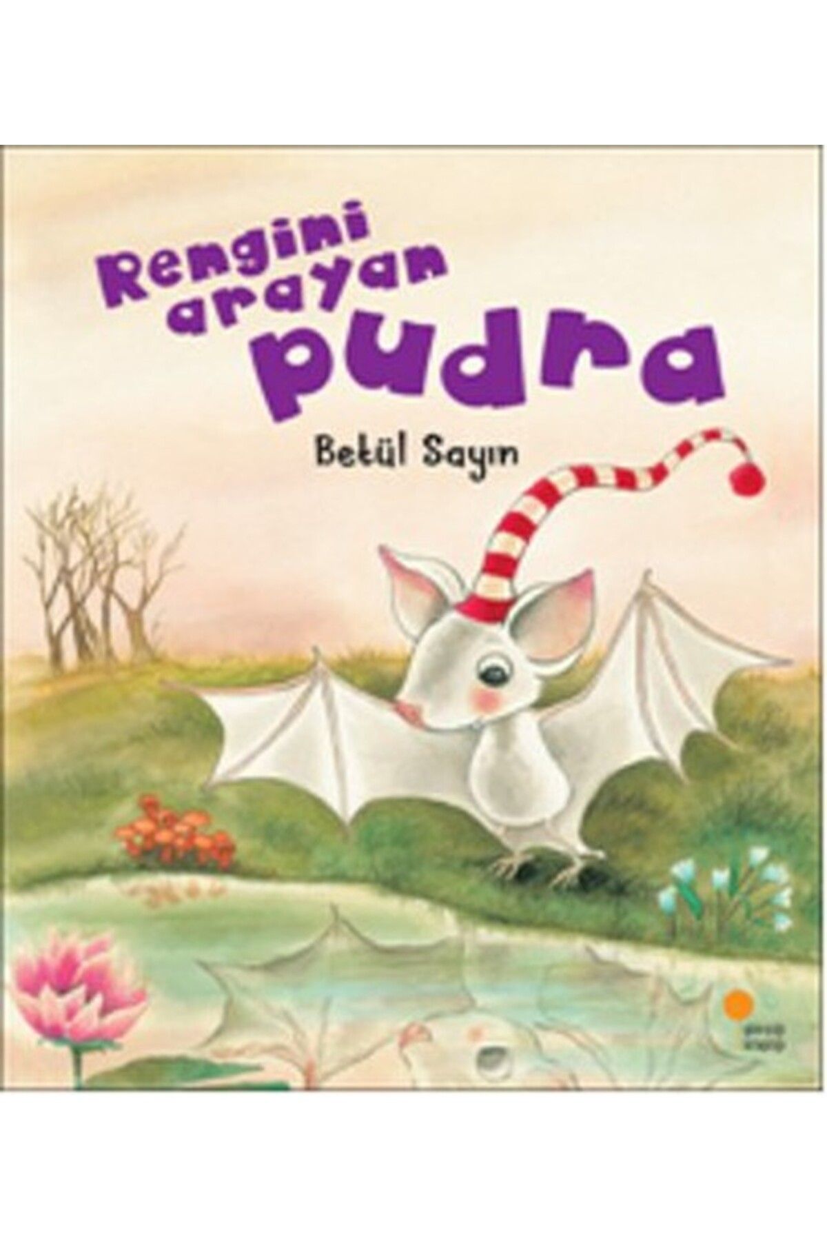 Günışığı Kitaplığı Rengini Arayan Pudra