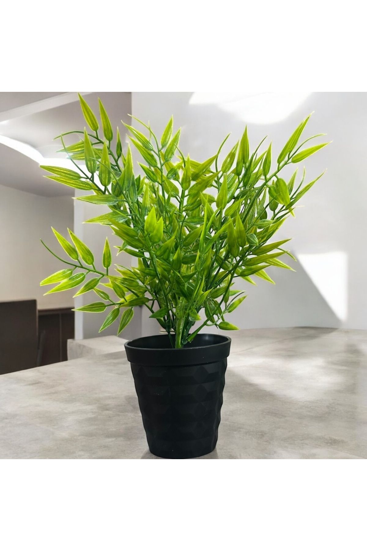 Lilac Home Doğal Doku Siyah Elmas Saksıda Yapay Bambusa Bitkisi