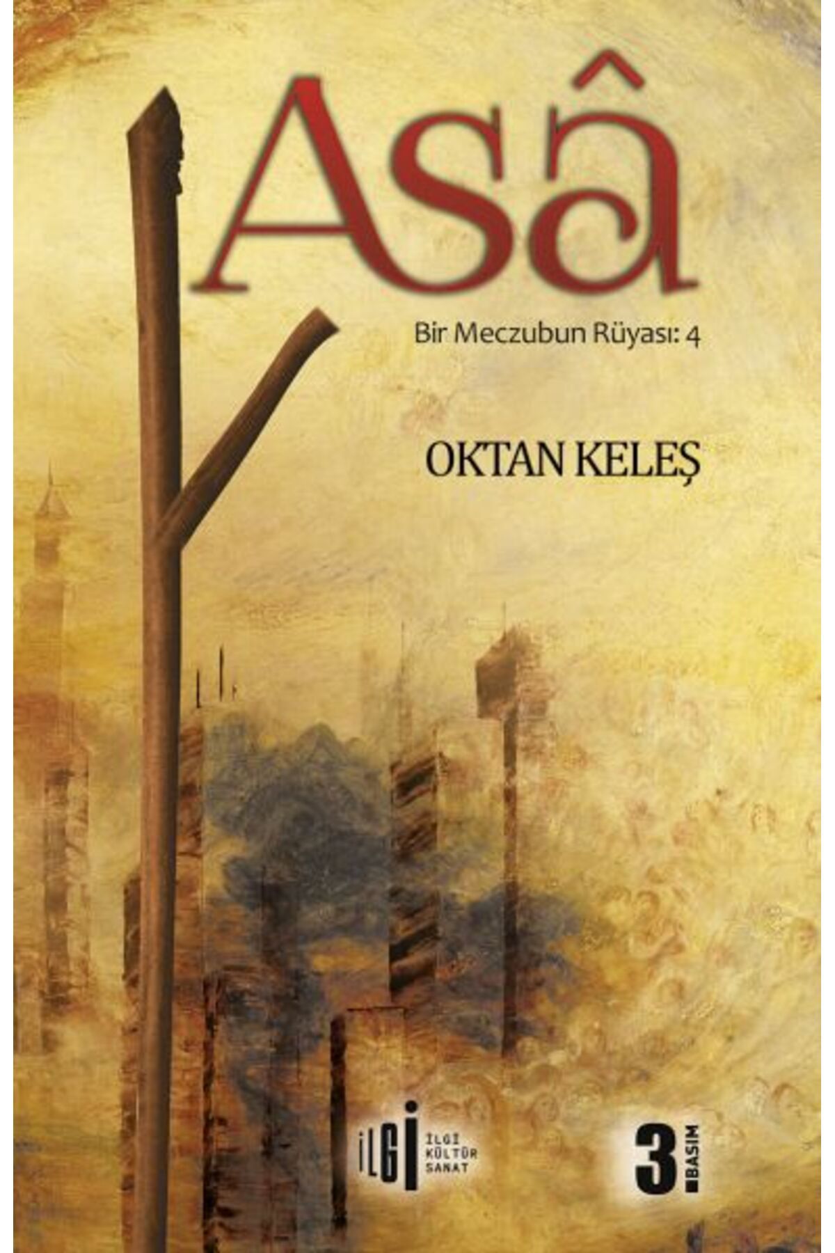 İlgi Kültür Sanat Yayıncılık Asa Roman