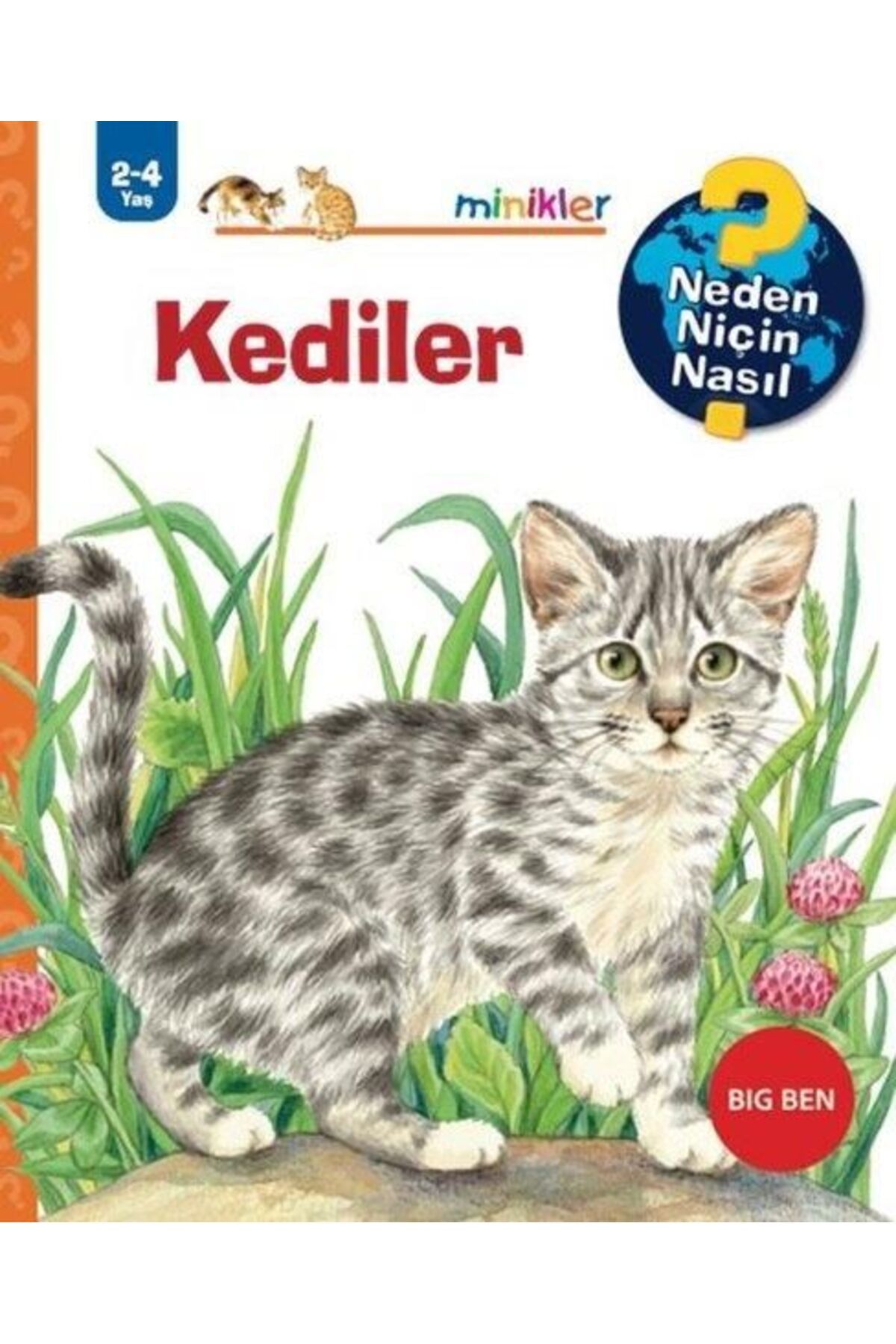 Destek Yayınları Kediler - Neden Niçin Nasıl 2 - 4 Yaş