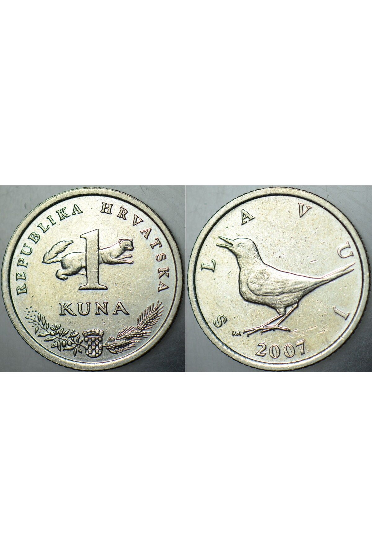 Banknoting HIRVATİSTAN 1 KUNA 2007 SANSAR VE BÜLBÜL TEMALI.