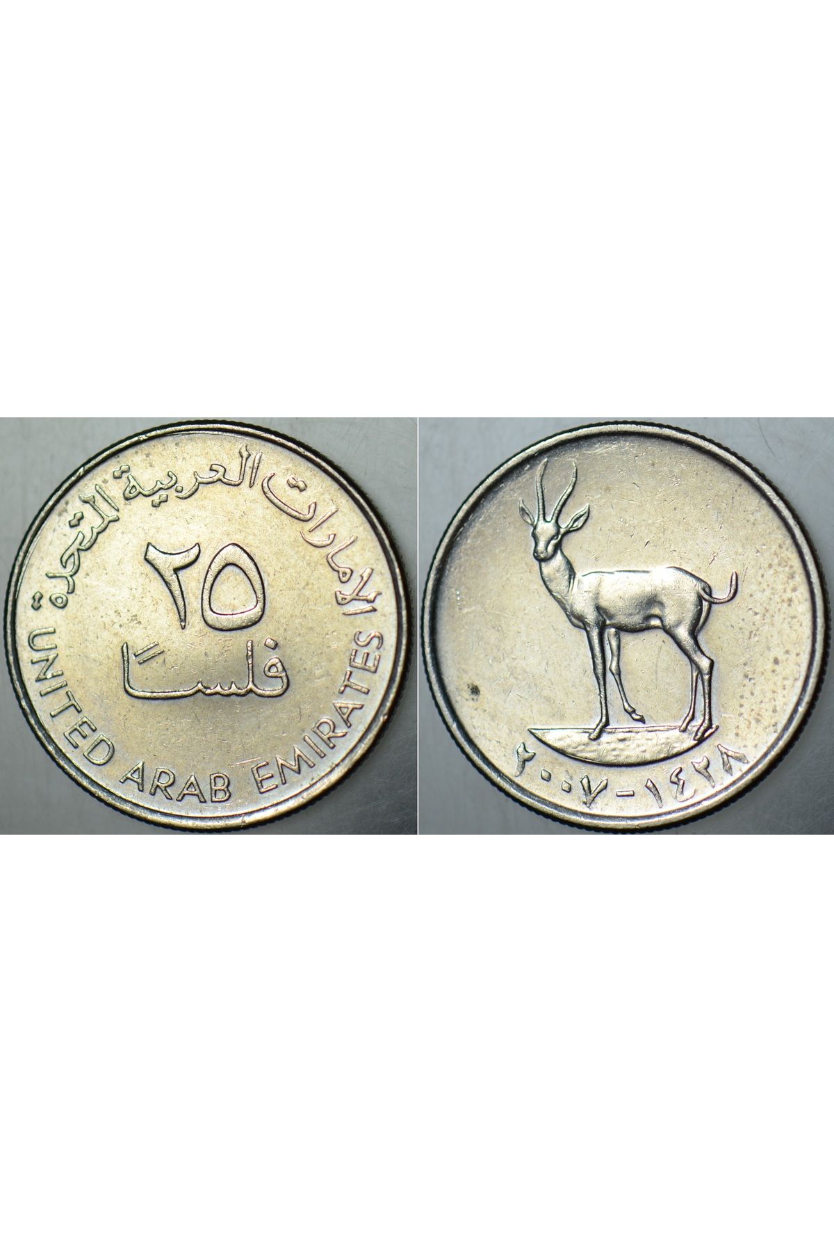 Banknoting BİRLEŞİK ARAP EMİRLİKLERİ 25 FİLS 2007 CEYLAN TEMALI.