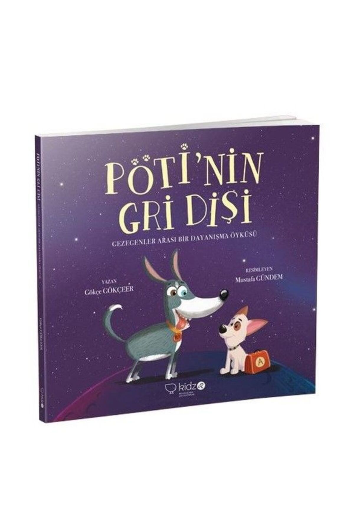 Hak Yayınları Pöti'nin Gri Dişi