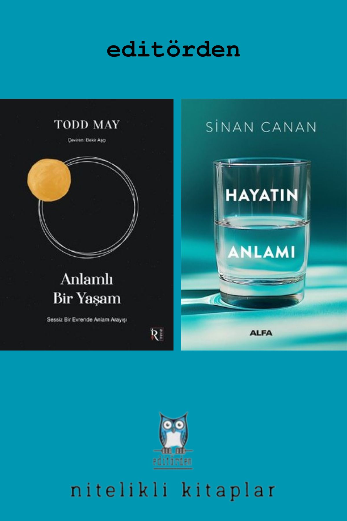 Alfa Yayınları Anlamlı Bir Yaşam / Todd May - Hayatın Anlamı / Sinan Canan