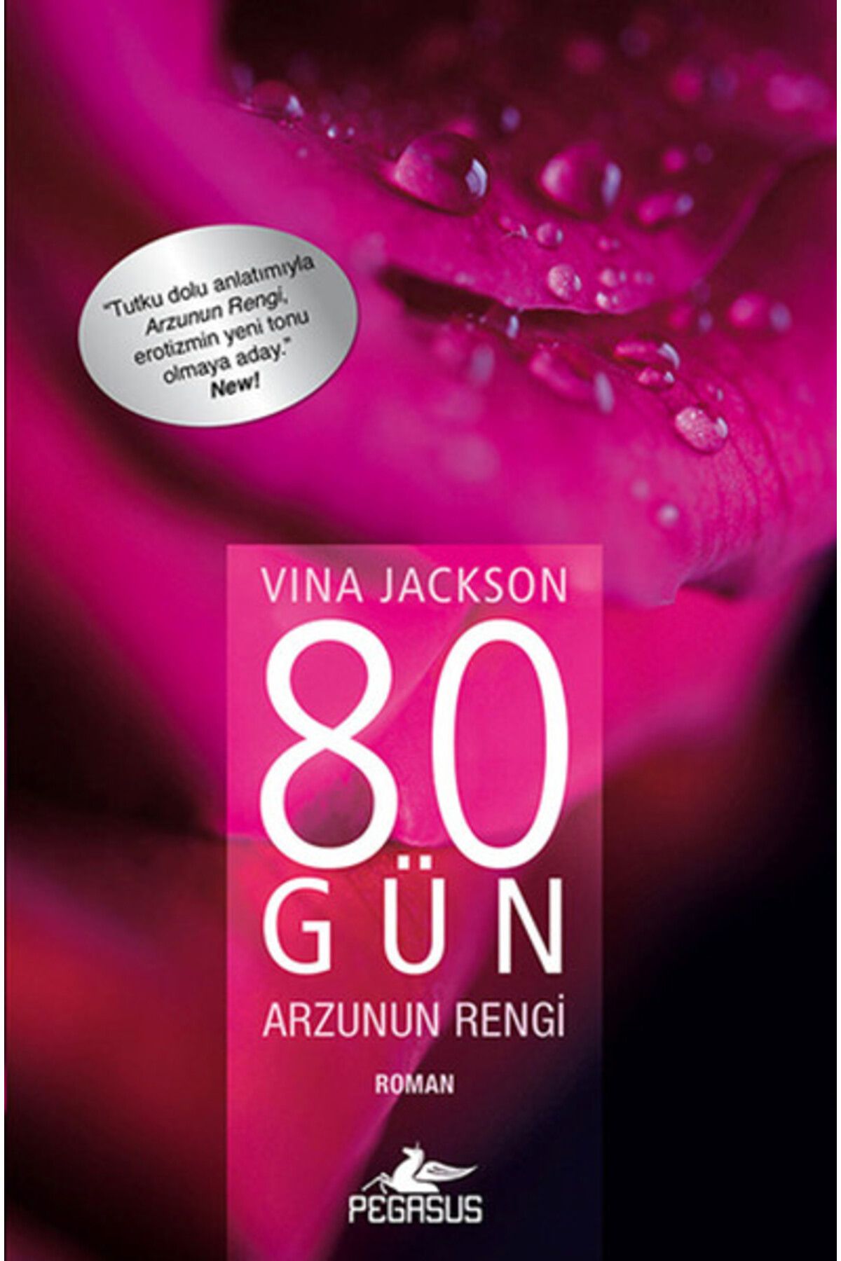 Pegasus Yayınları 80 Gün Arzunun Rengi