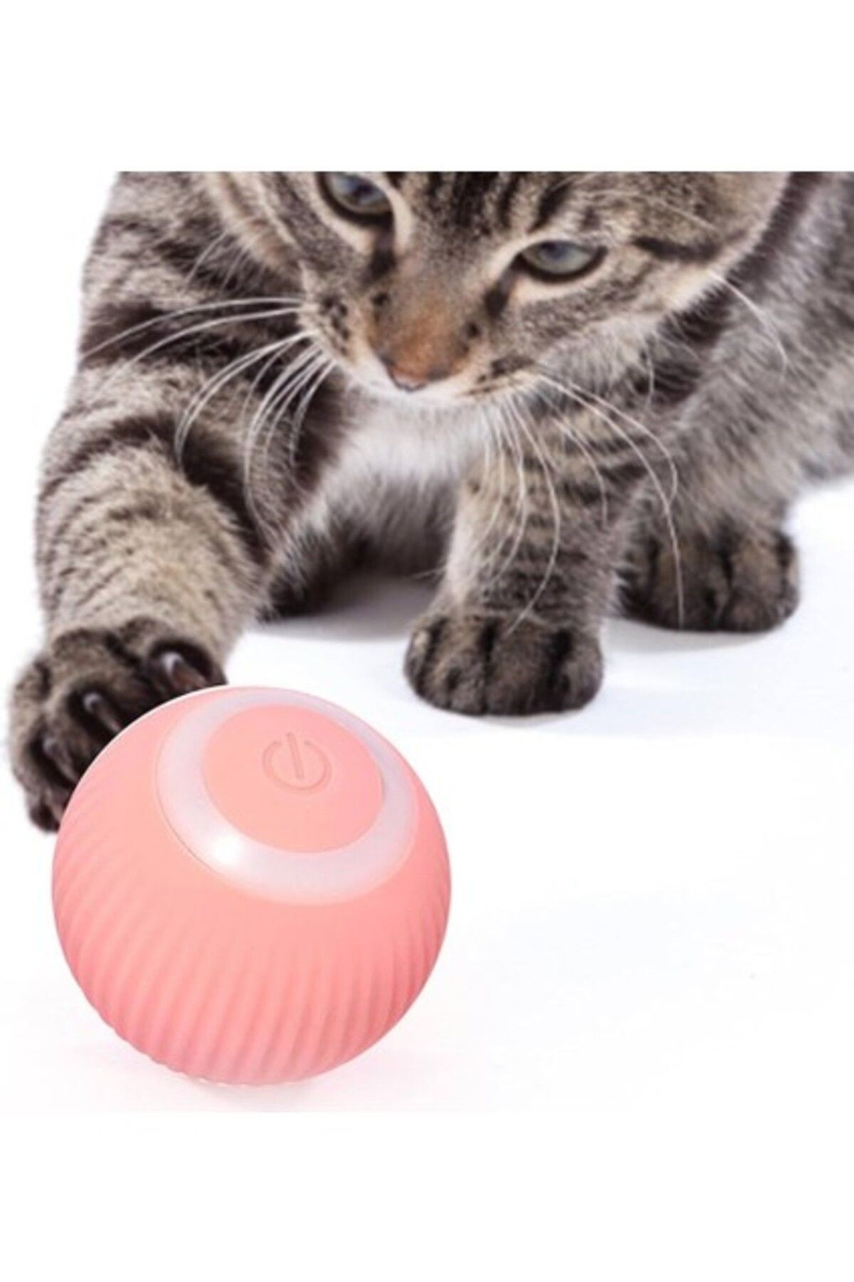 Ferplast İndayzoo Kedi Topu Akıllı Kedi Oyuncağı